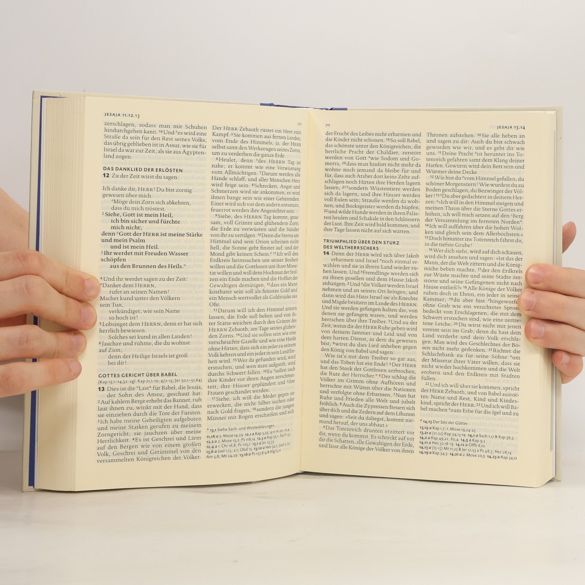Martin Luther Die Bibel