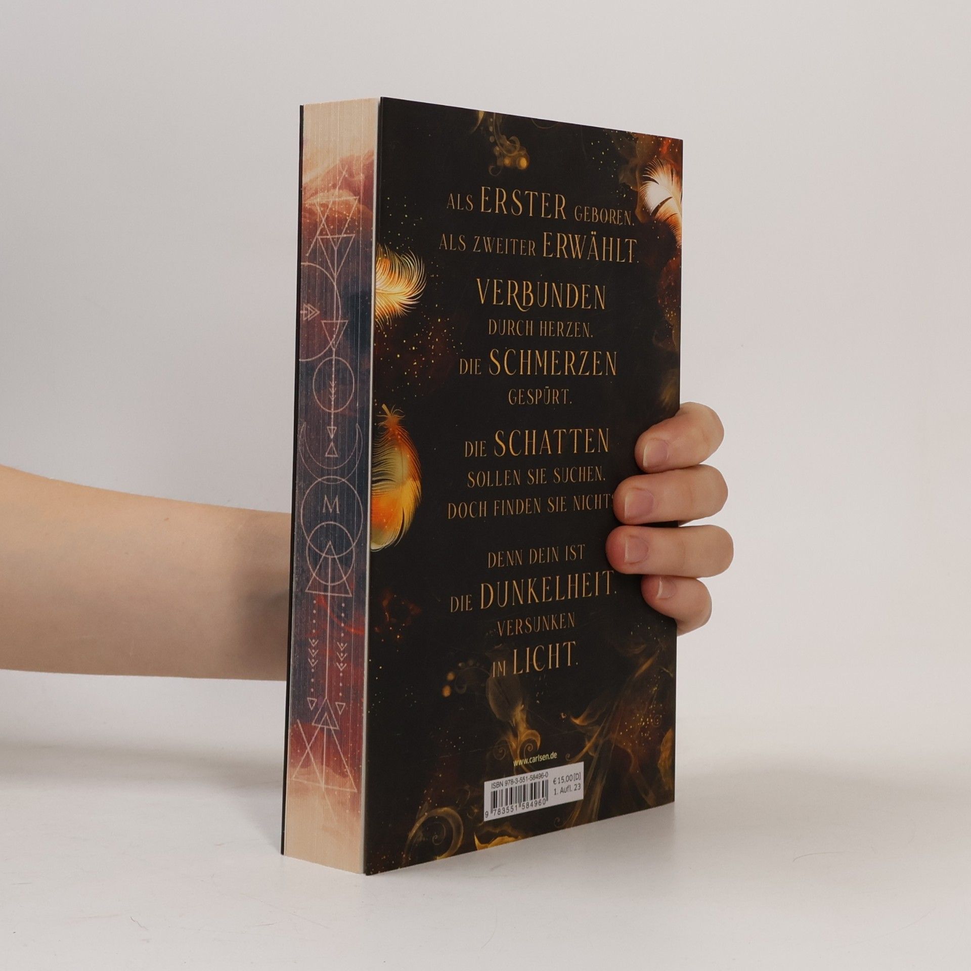 Dana Müller-Braun Fallen Kingdom 2: Zerbrochene Wahrheit