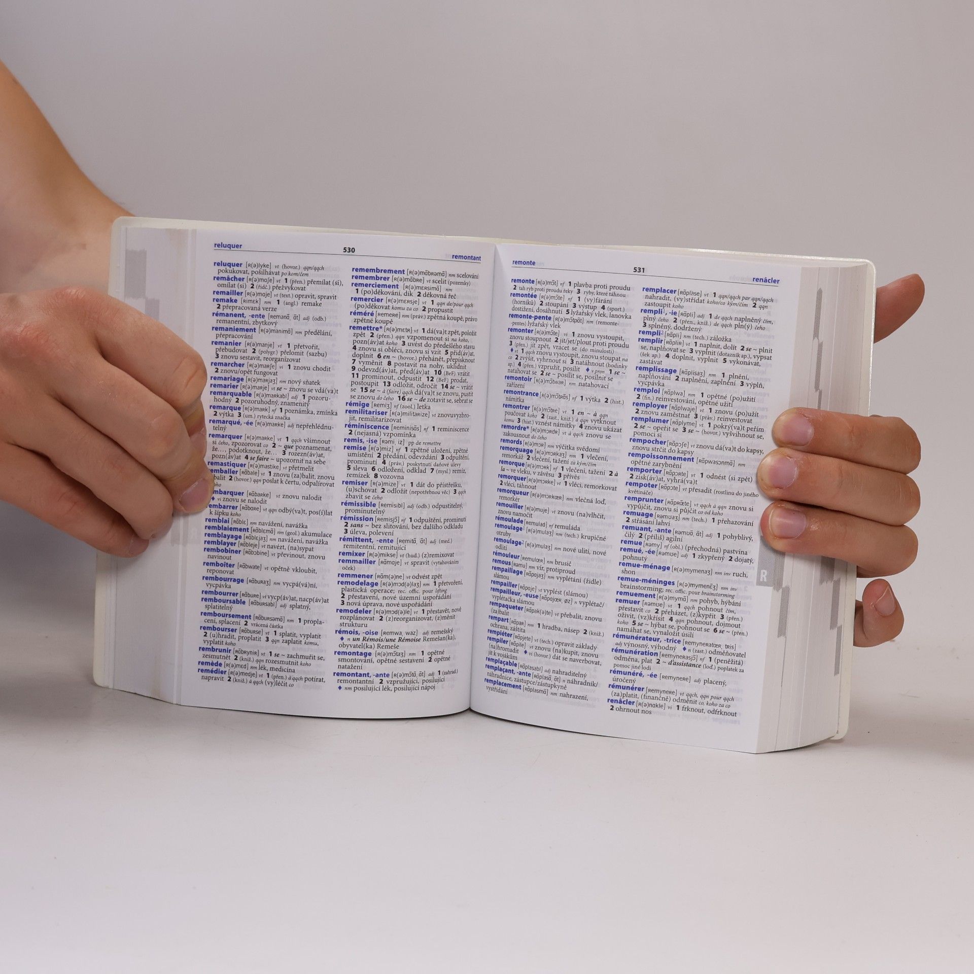 Various authors Francouzsko-český, česko-francouzský praktický slovník