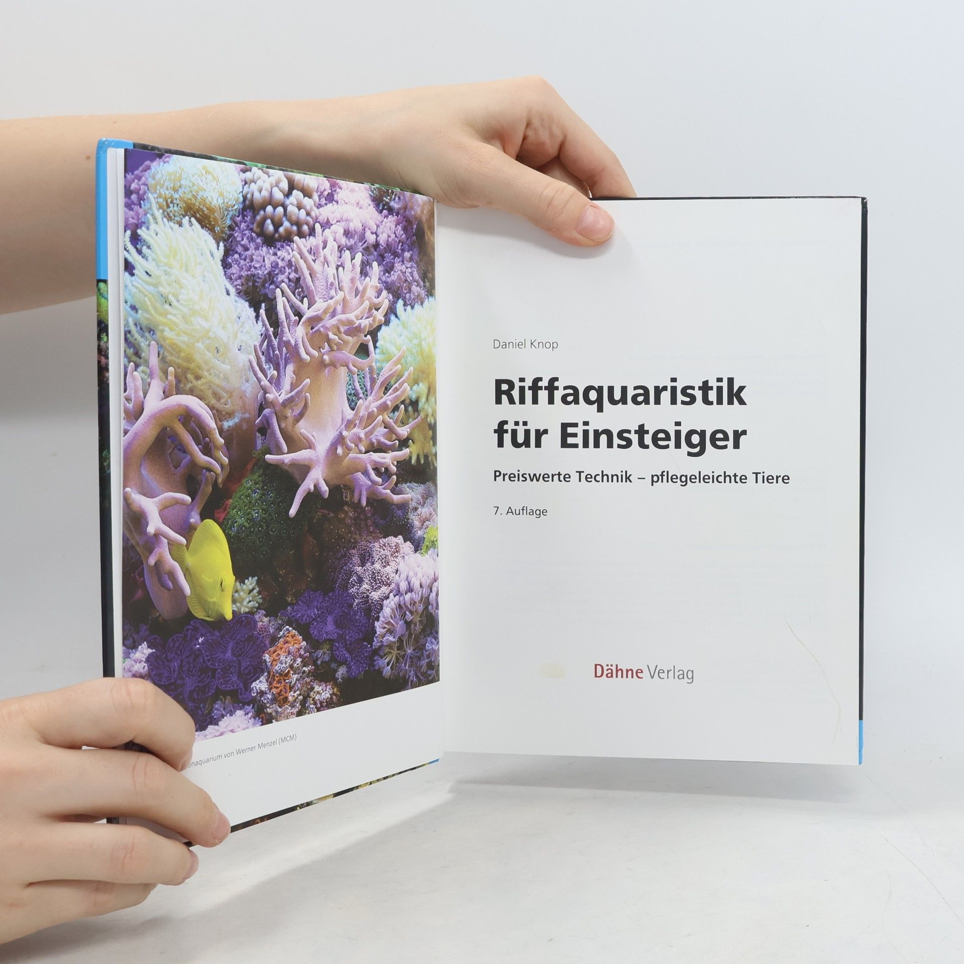 Daniel Knop Riffaquaristik für Einsteiger