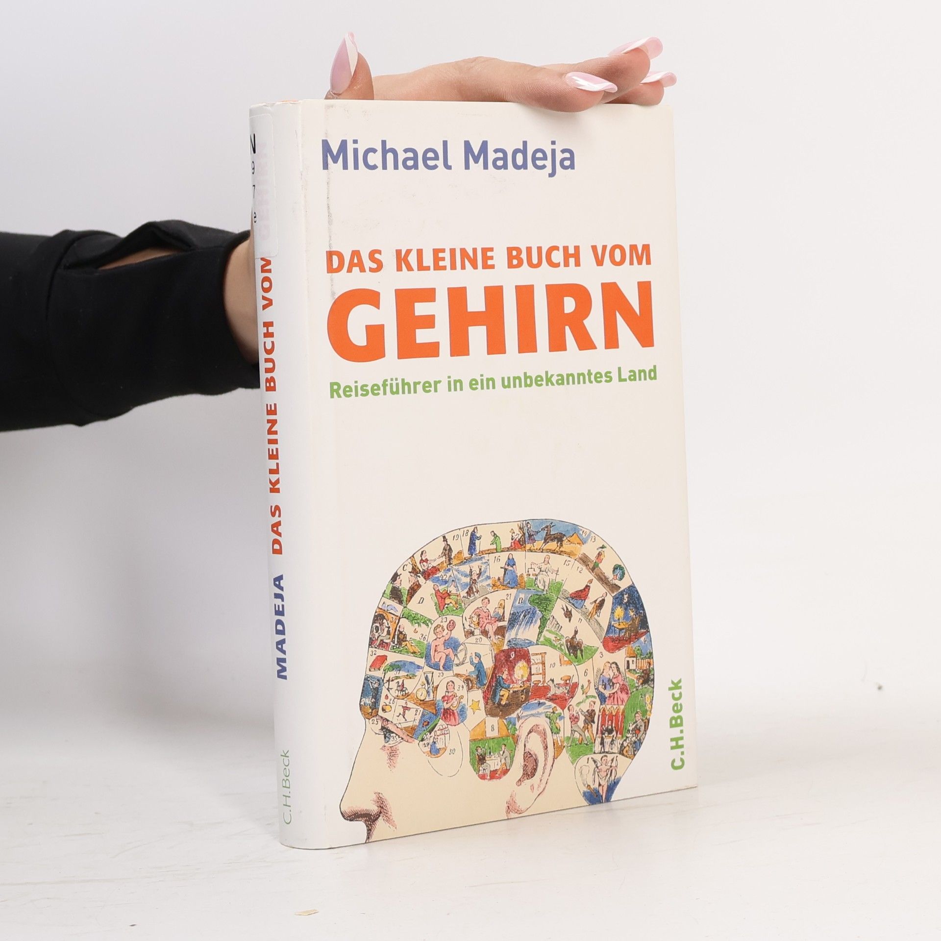Michael Madeja Das kleine Buch vom Gehirn