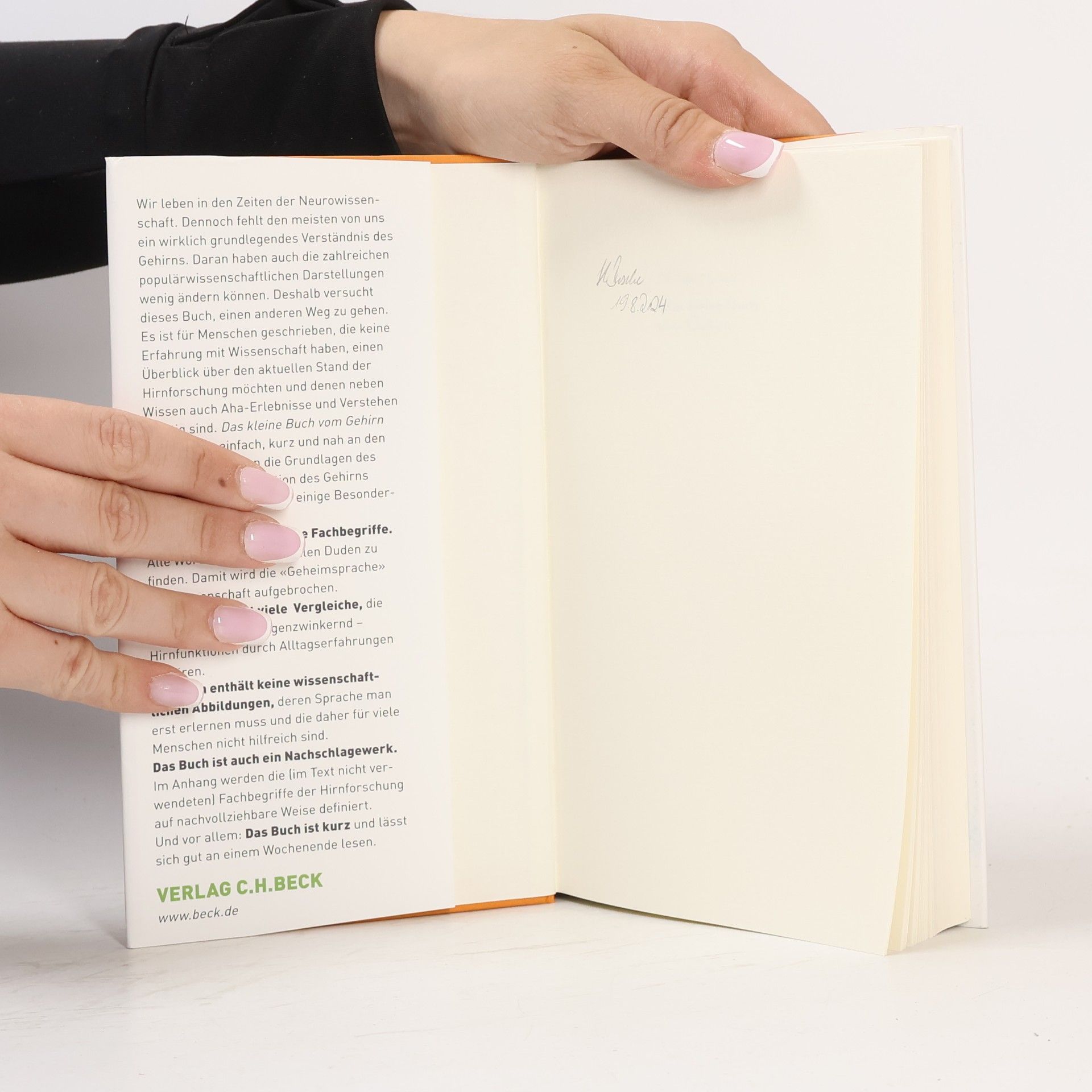 Michael Madeja Das kleine Buch vom Gehirn