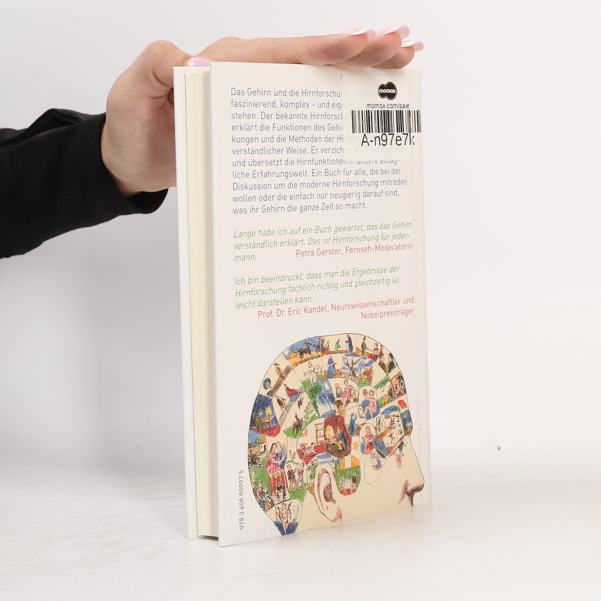 Michael Madeja Das kleine Buch vom Gehirn