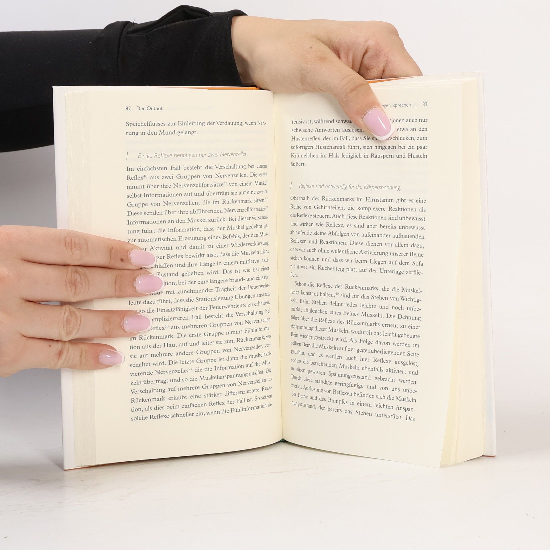 Michael Madeja Das kleine Buch vom Gehirn