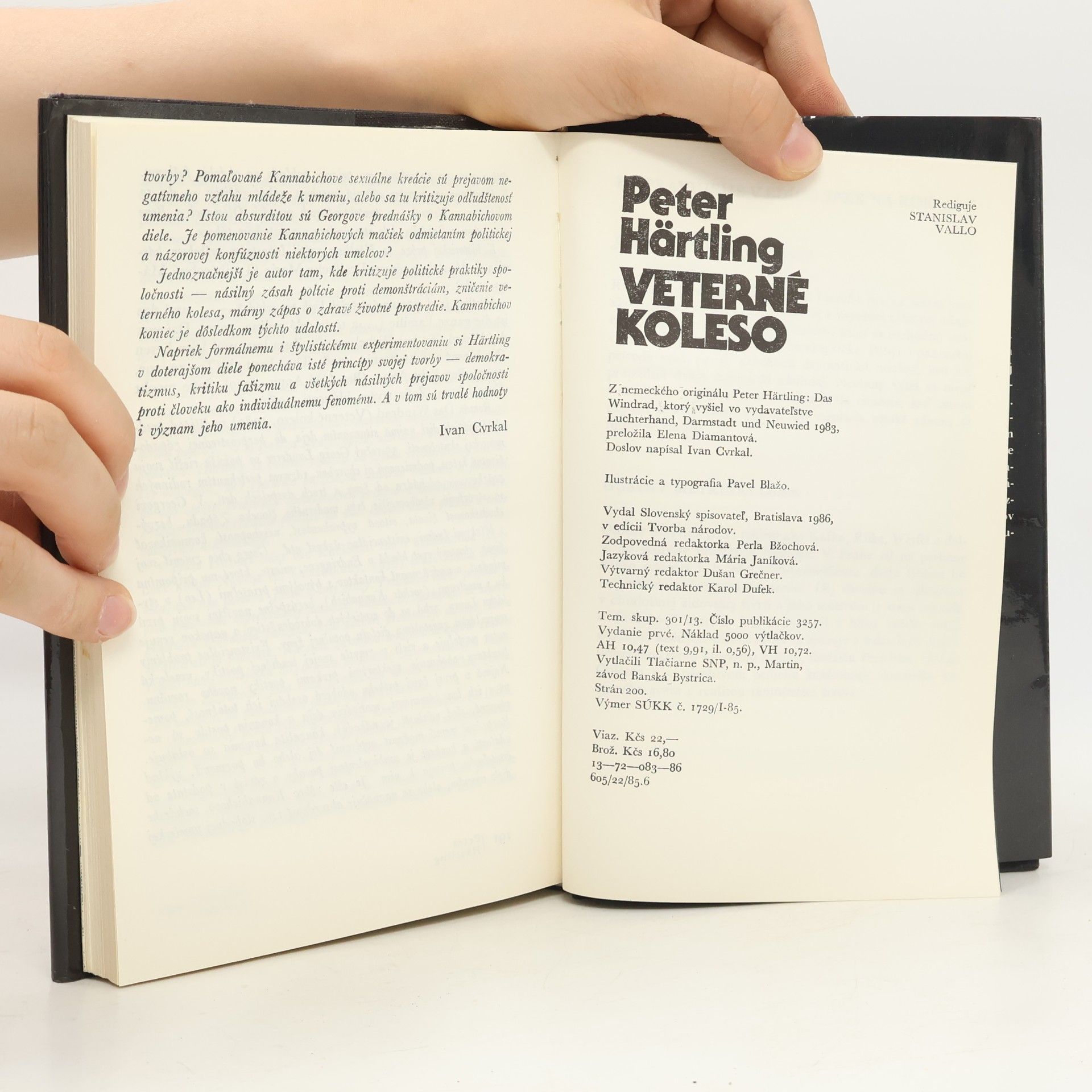 Peter Härtling Veterné koleso
