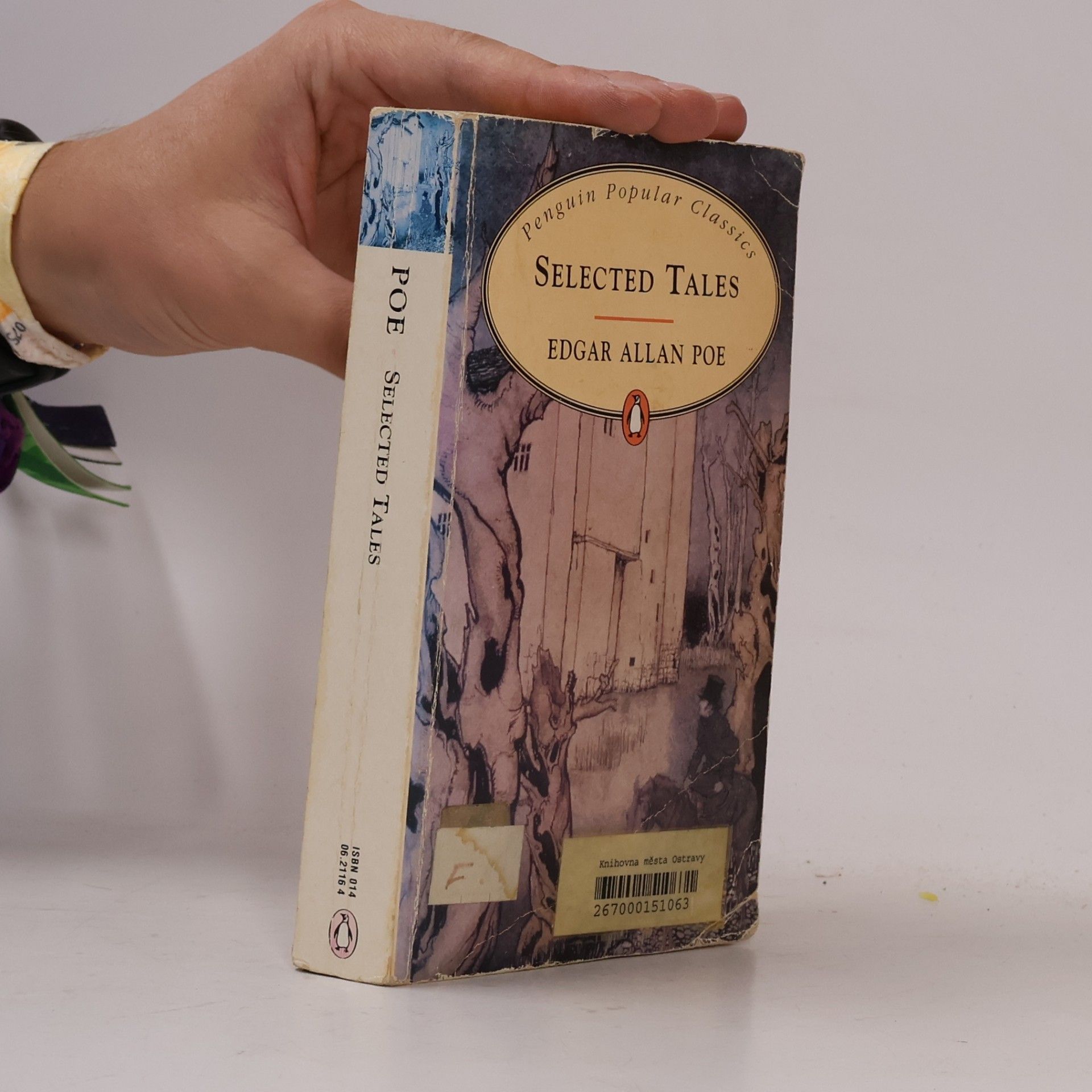 Edgar Allan Poe Selected Tales