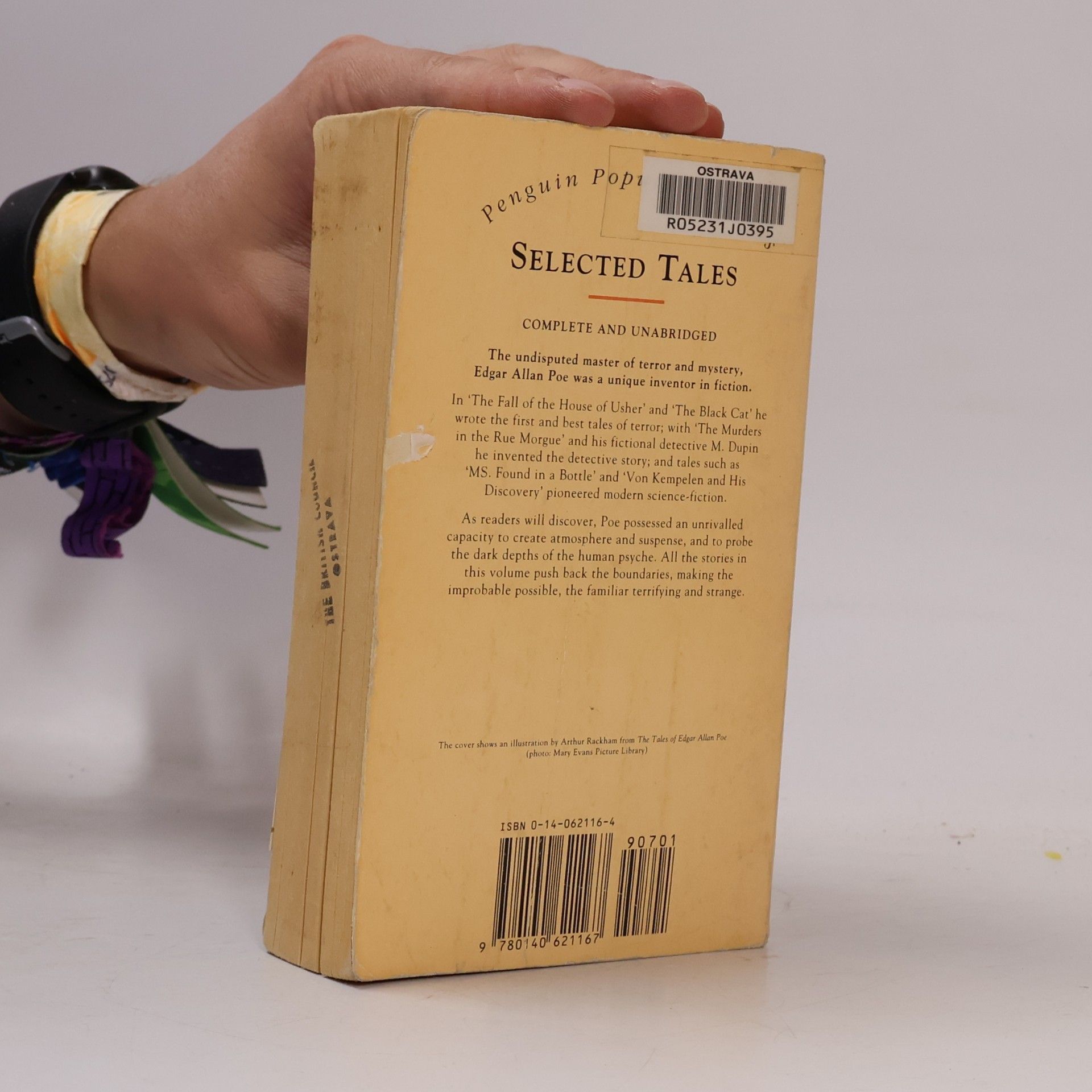 Edgar Allan Poe Selected Tales
