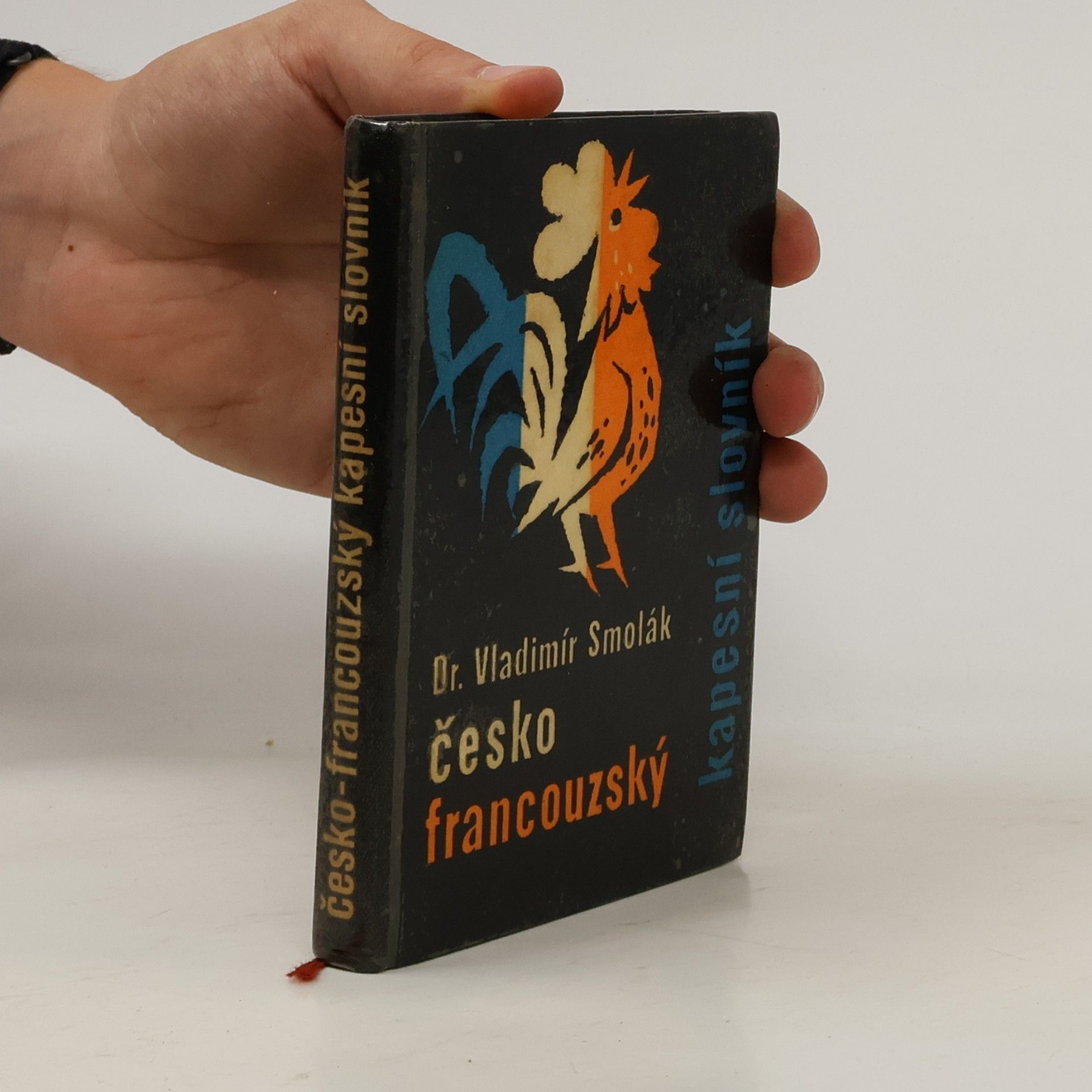 Česko-francouzský kapesní slovník