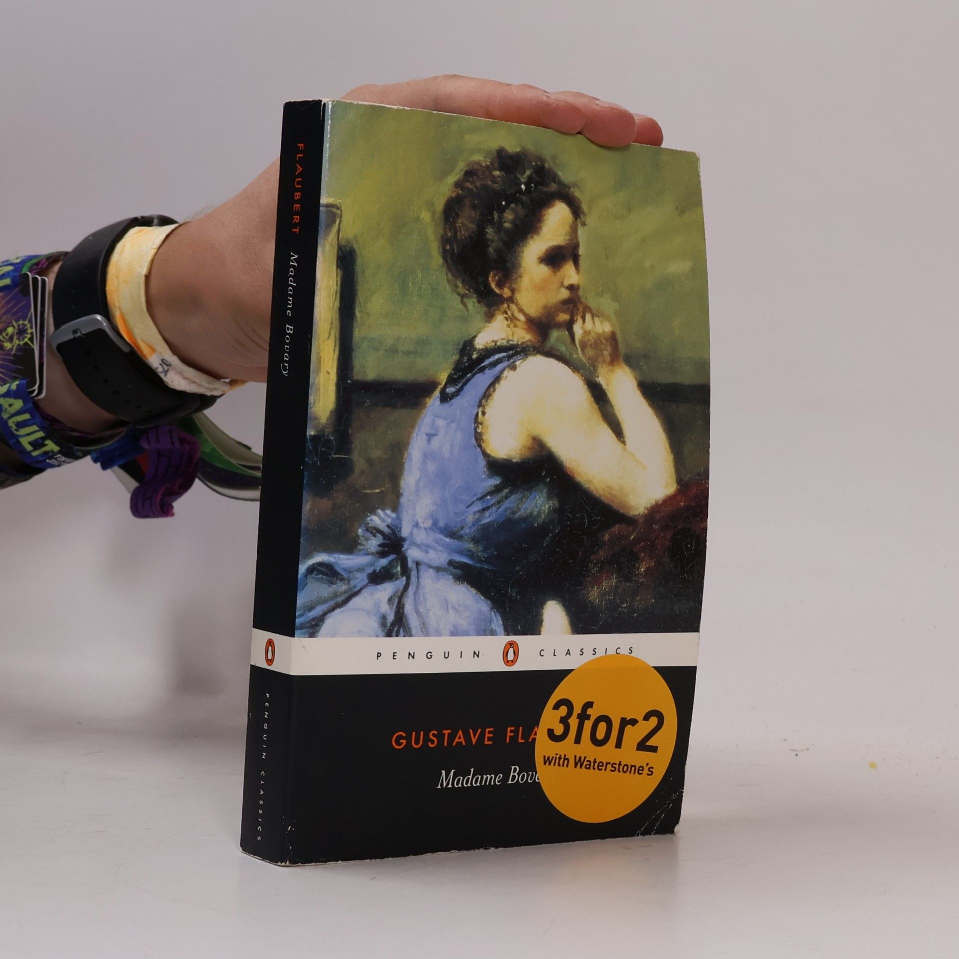 Autorenkollektiv Madame Bovary : provincial lives