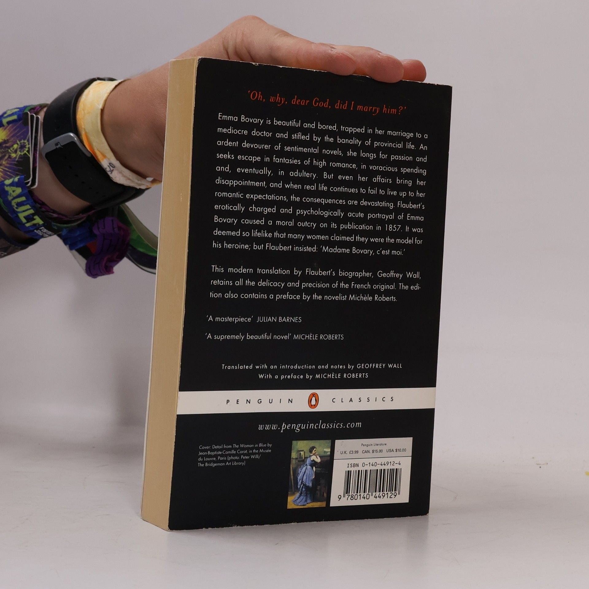 Autorenkollektiv Madame Bovary : provincial lives