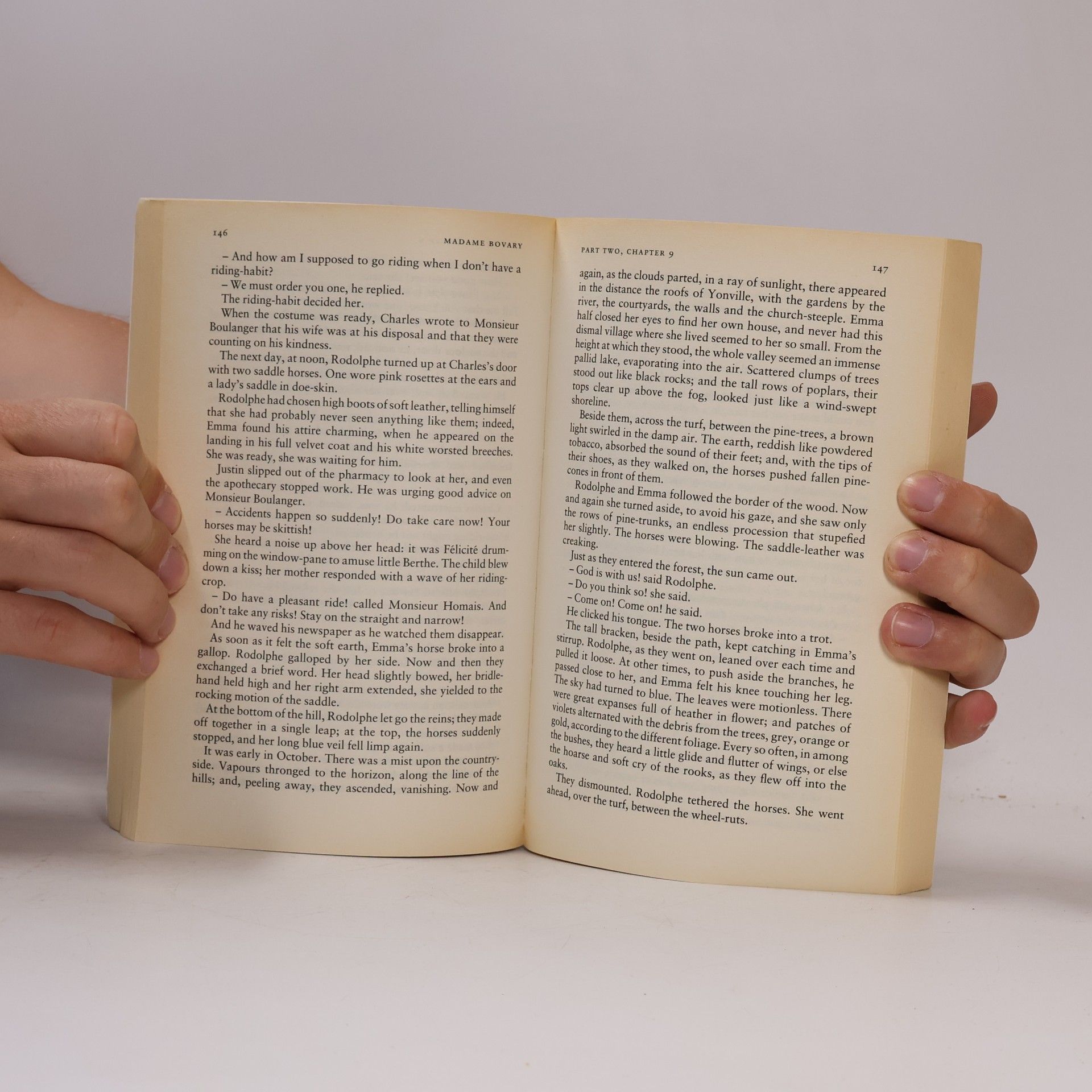 Autorenkollektiv Madame Bovary : provincial lives