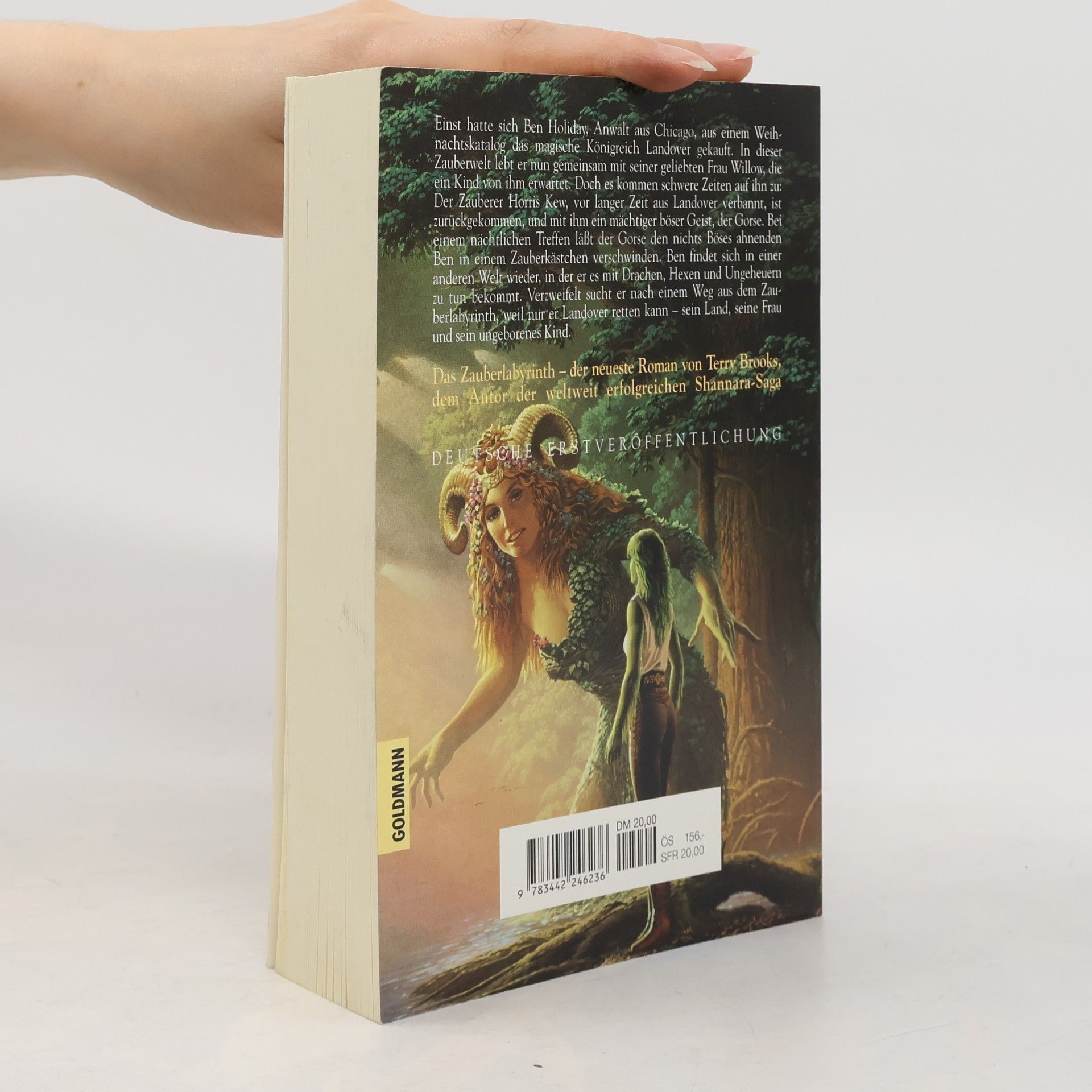 Terry Brooks Das Zauberlabyrinth