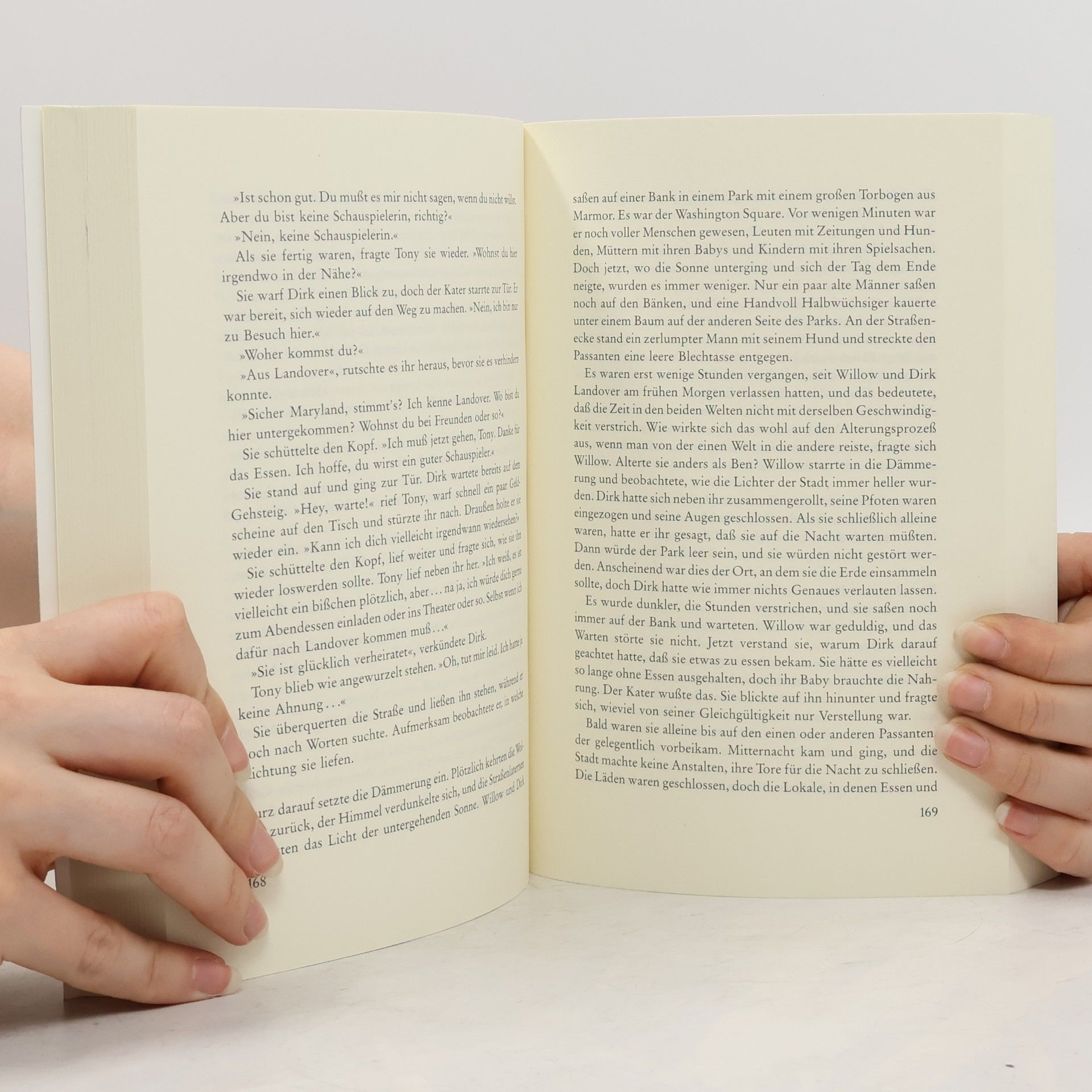 Terry Brooks Das Zauberlabyrinth