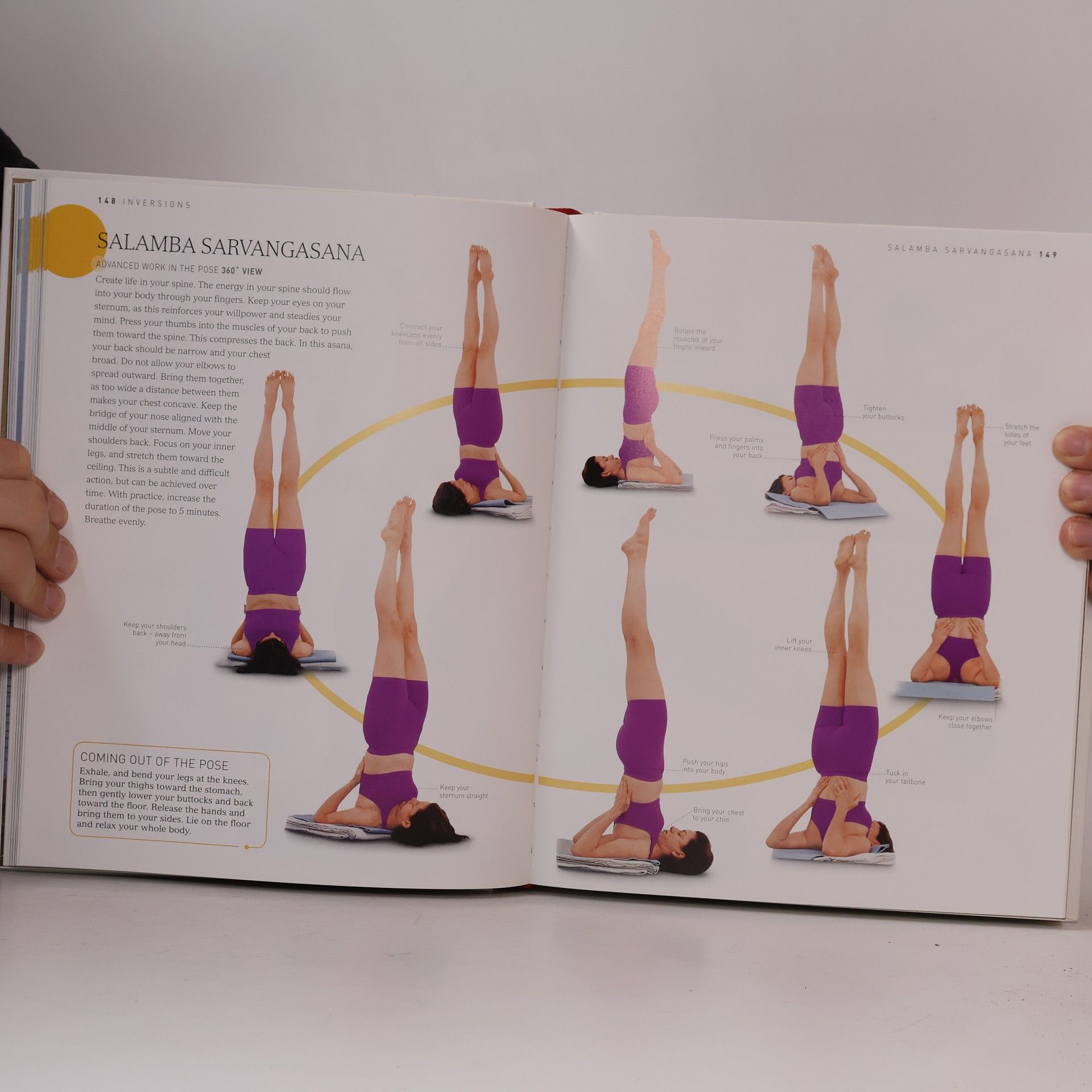 B. K. S. Iyengar Yoga