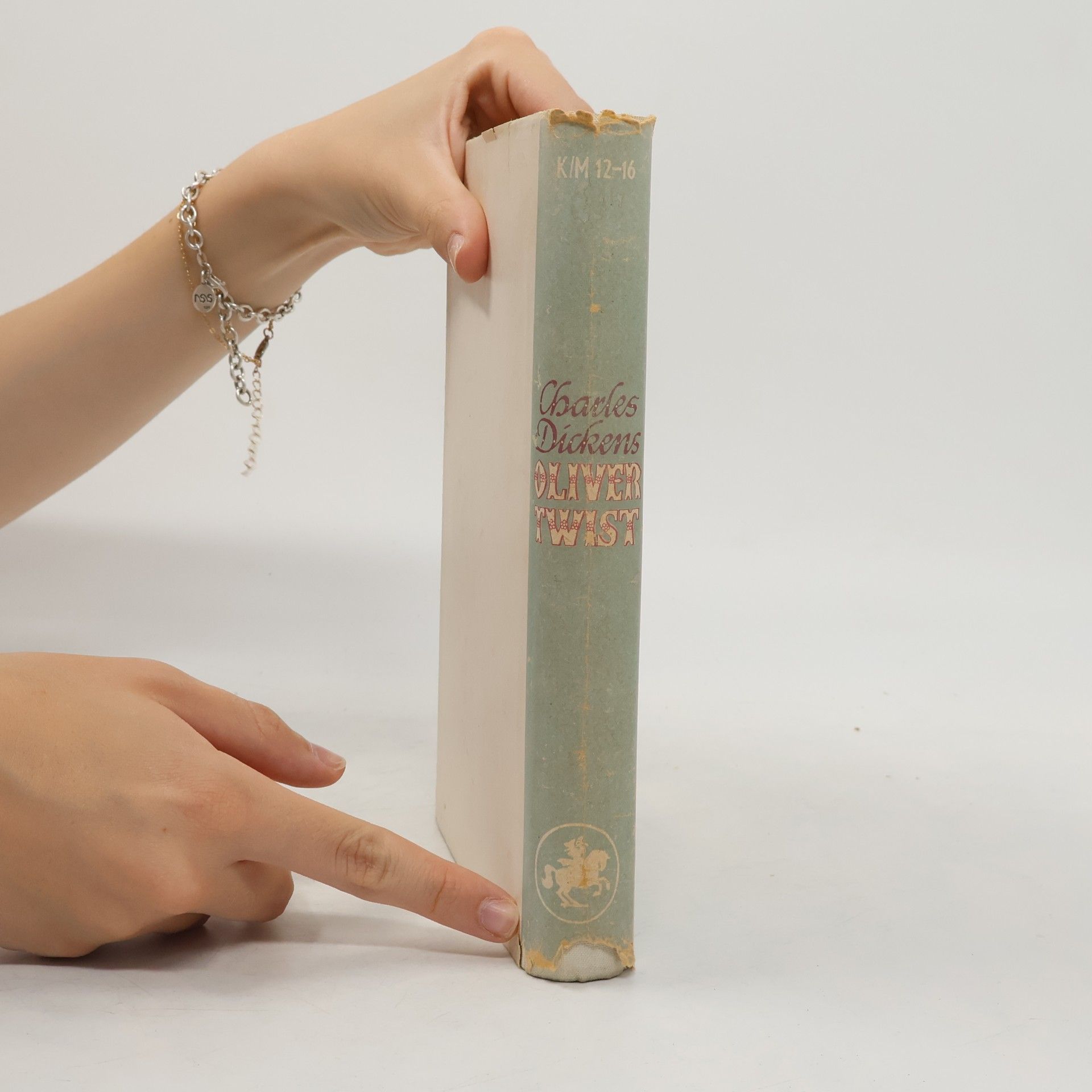 Charles Dickens Oliver Twist
