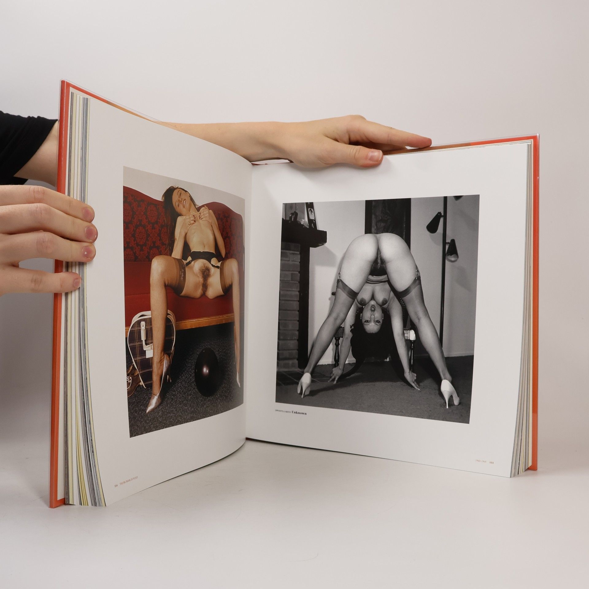 Dian Hanson The Big Book of Pussy