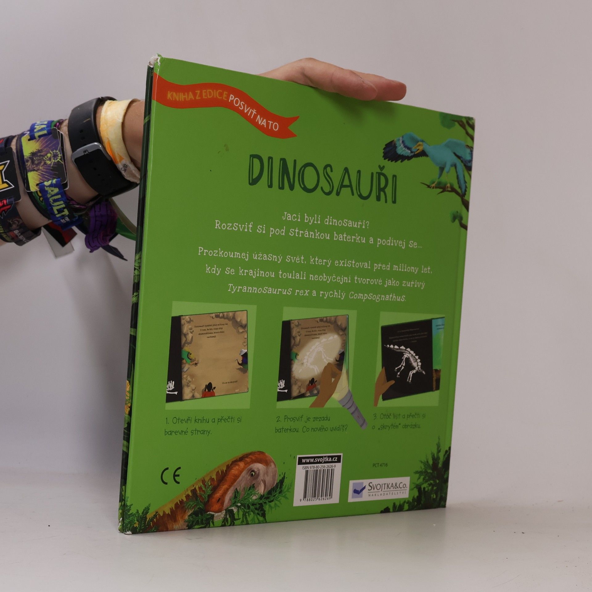 Sara Hurst Dinosauři