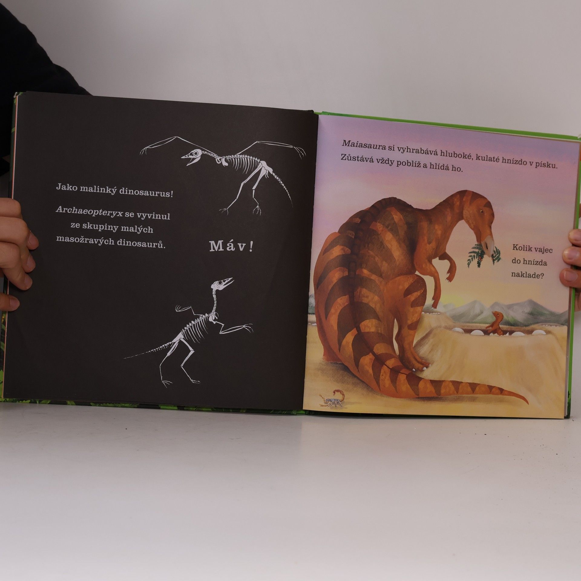 Sara Hurst Dinosauři