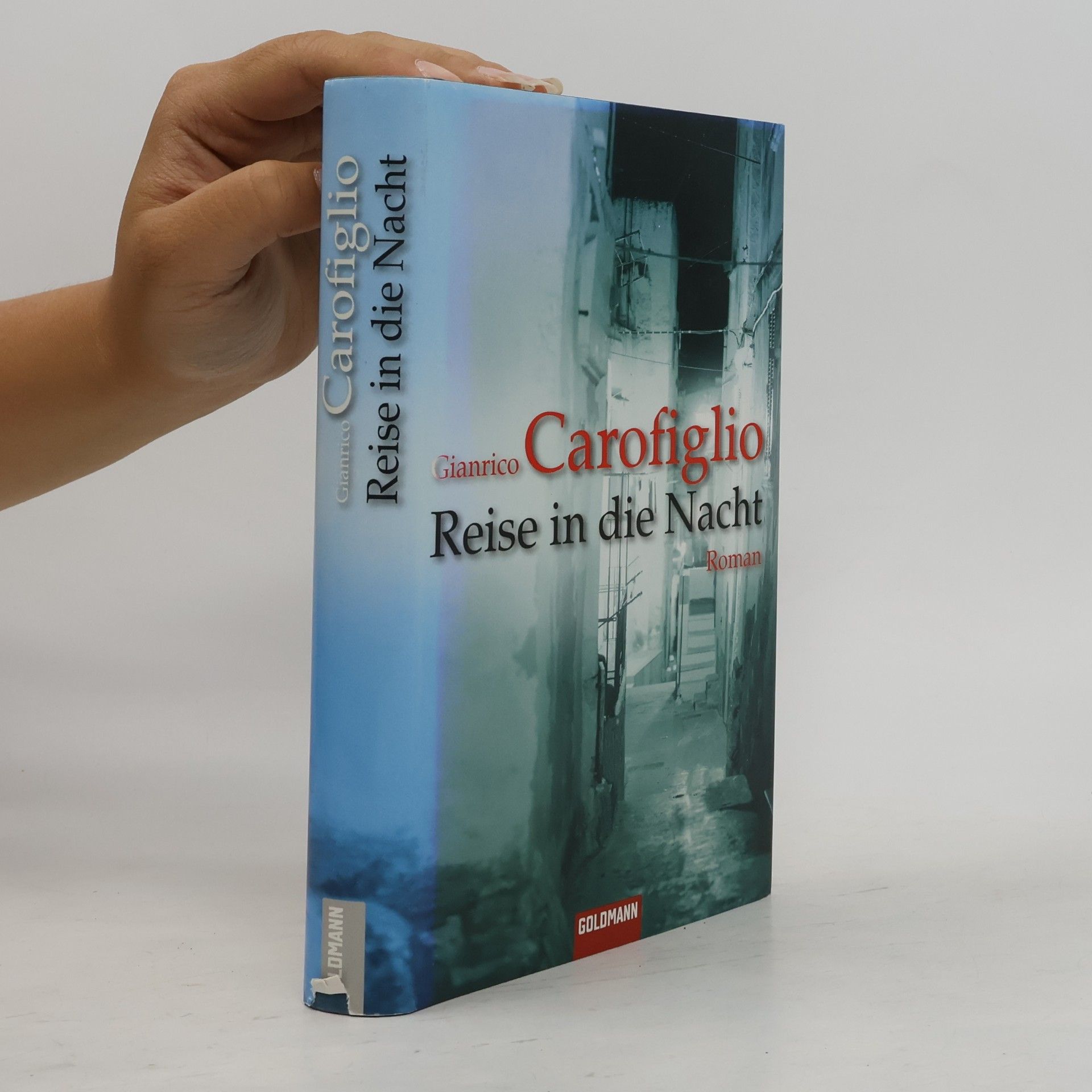Gianrico Carofiglio Reise in die Nacht