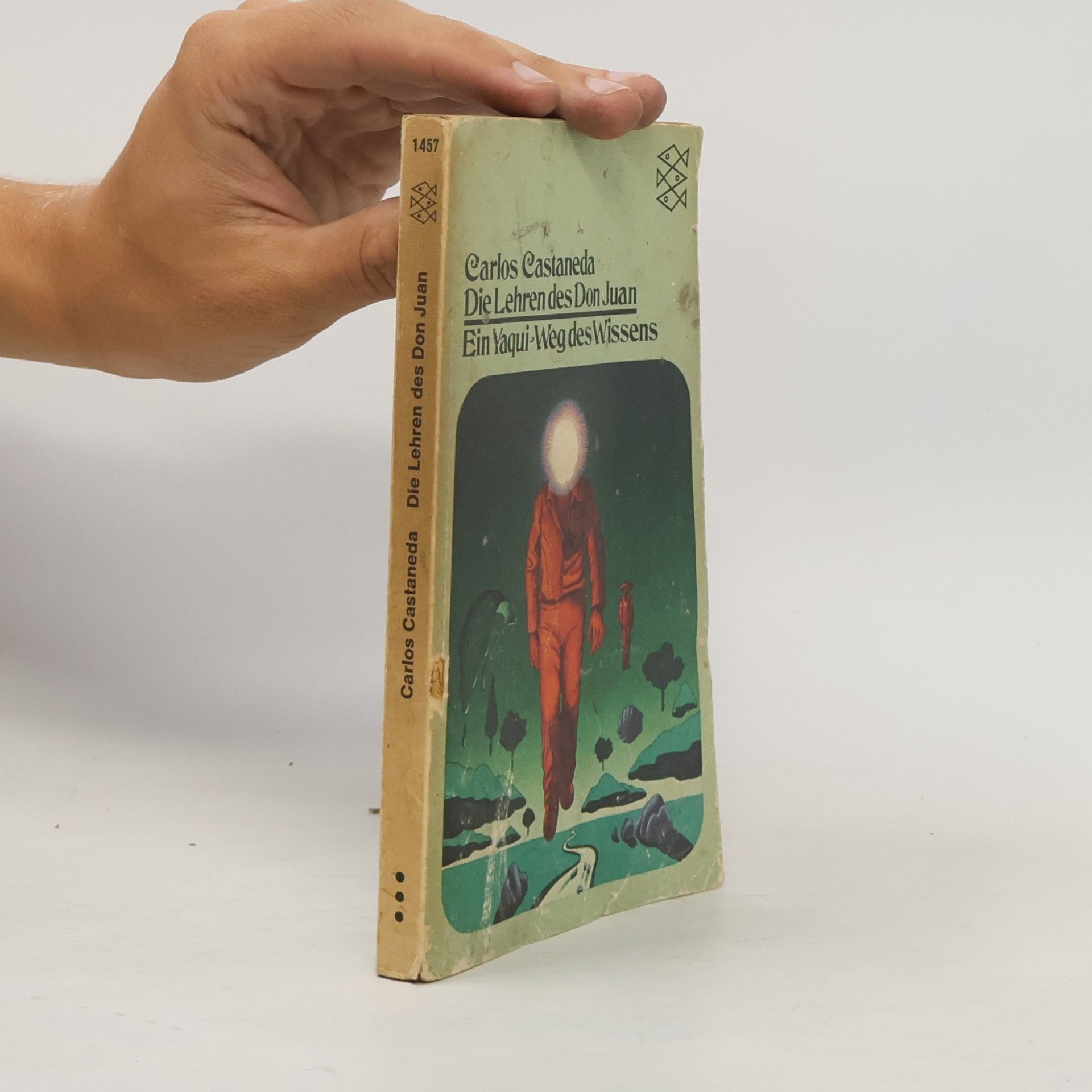 Carlos Castaneda Die Lehren des Don Juan