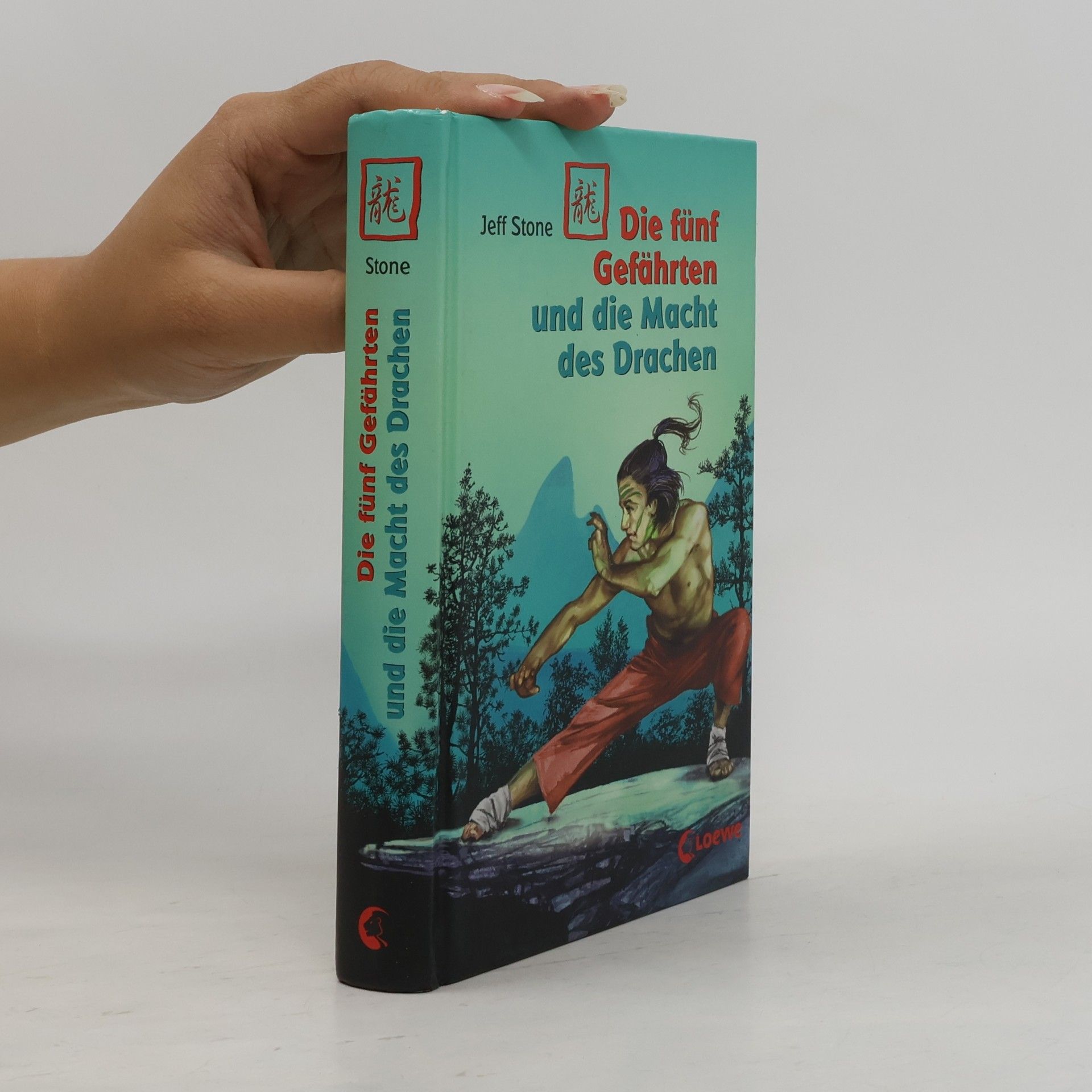 Jeff Stone Die fünf Gefährten und die Macht des Drachen