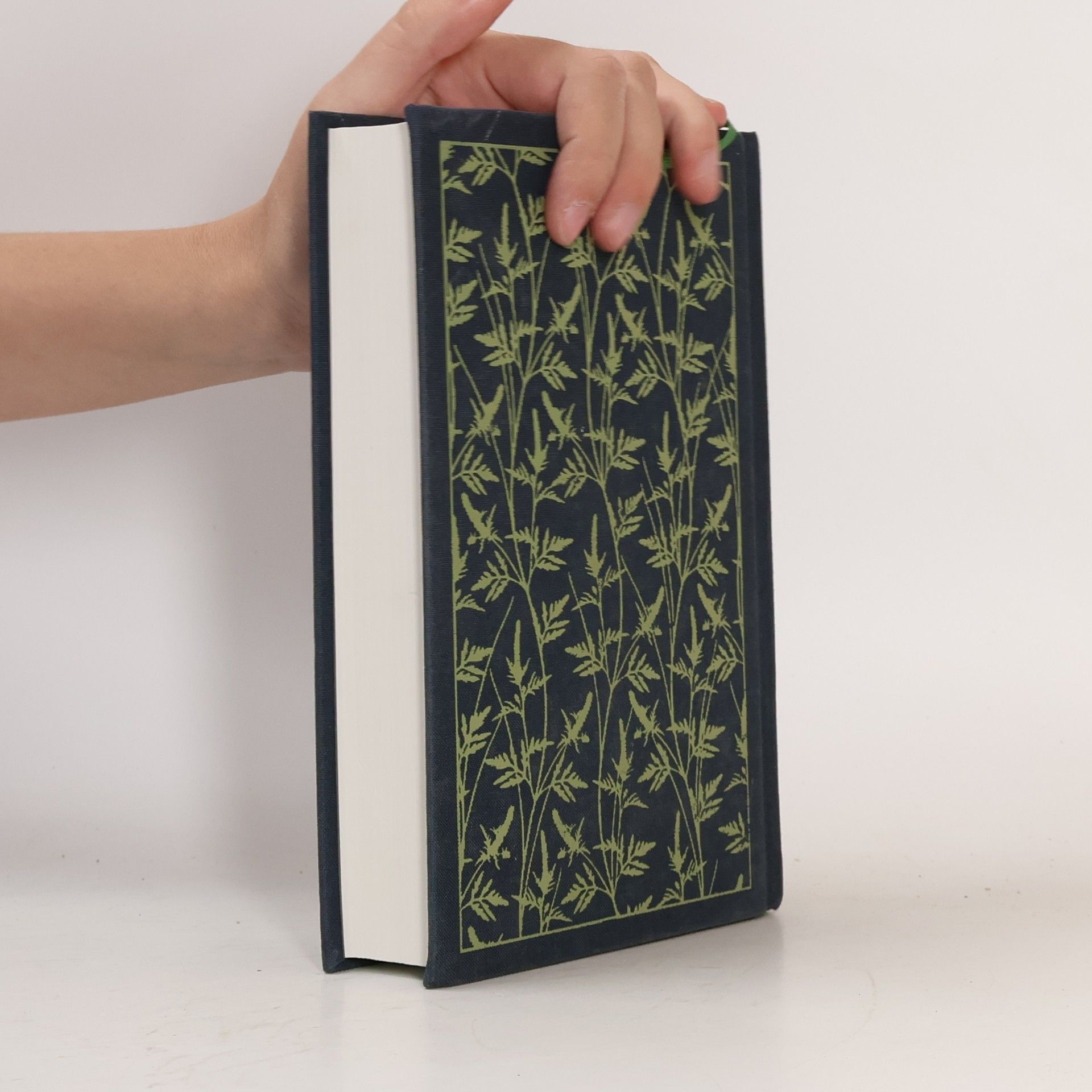 Anne Brontë The Tenant of Wildfell Hall