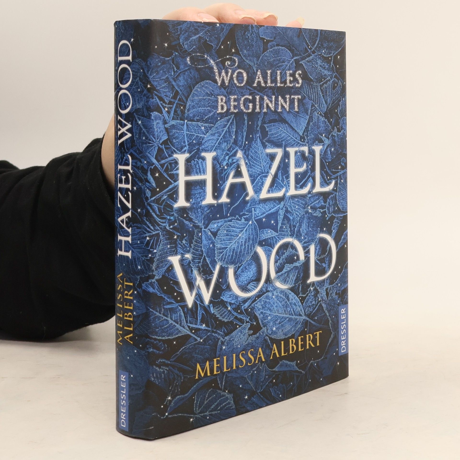 Melissa Albert Hazel Wood: Wo alles beginnt