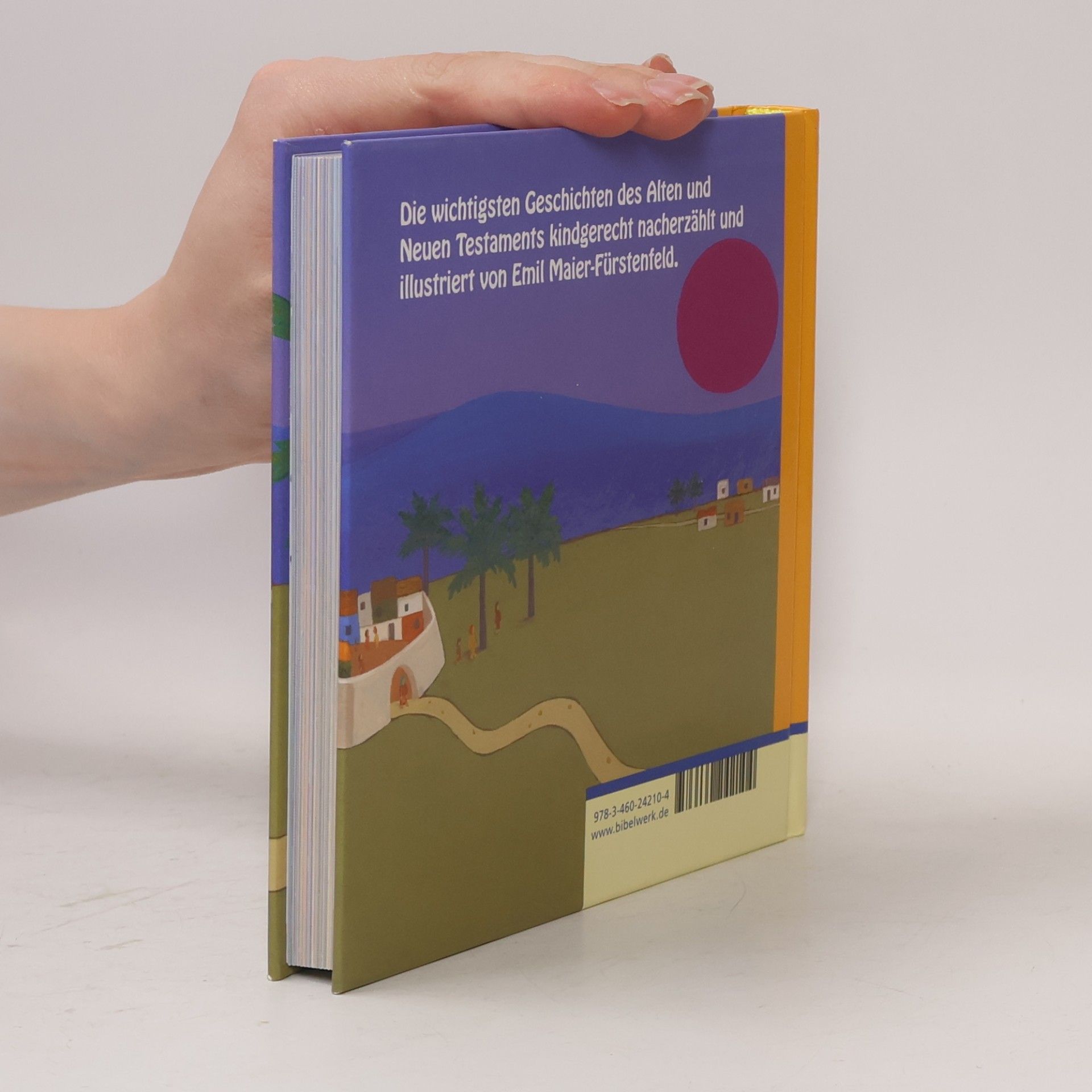 Michael Liß Meine kleine Bilder-Buch-Bibel