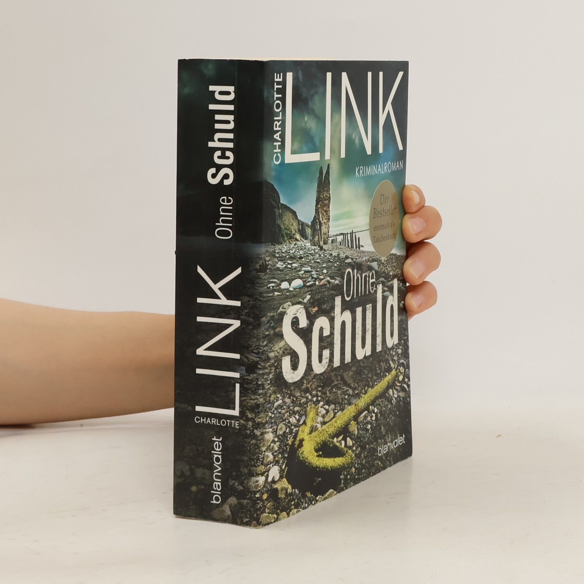 Charlotte Link Ohne Schuld