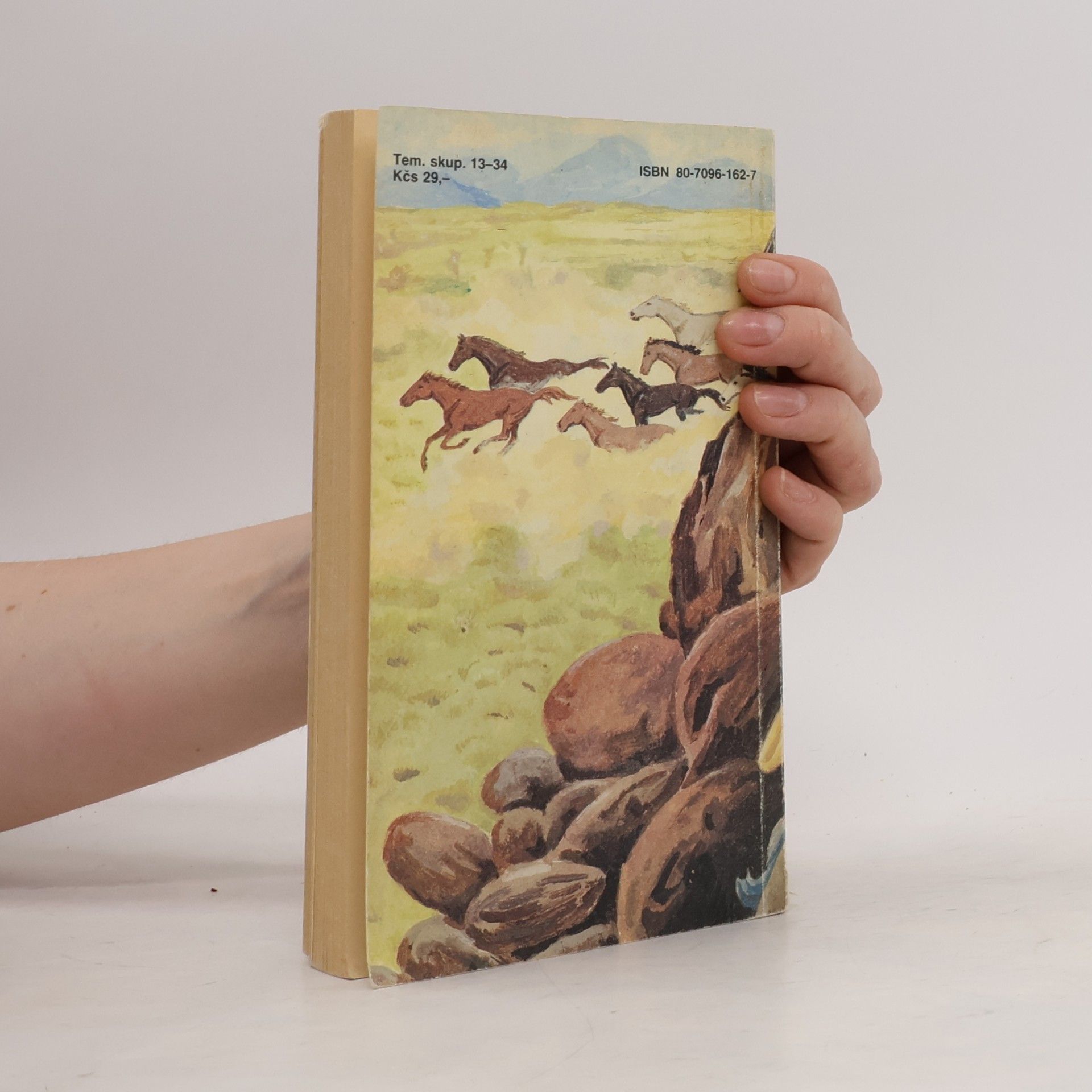 Zane Grey Údolie divokých koní