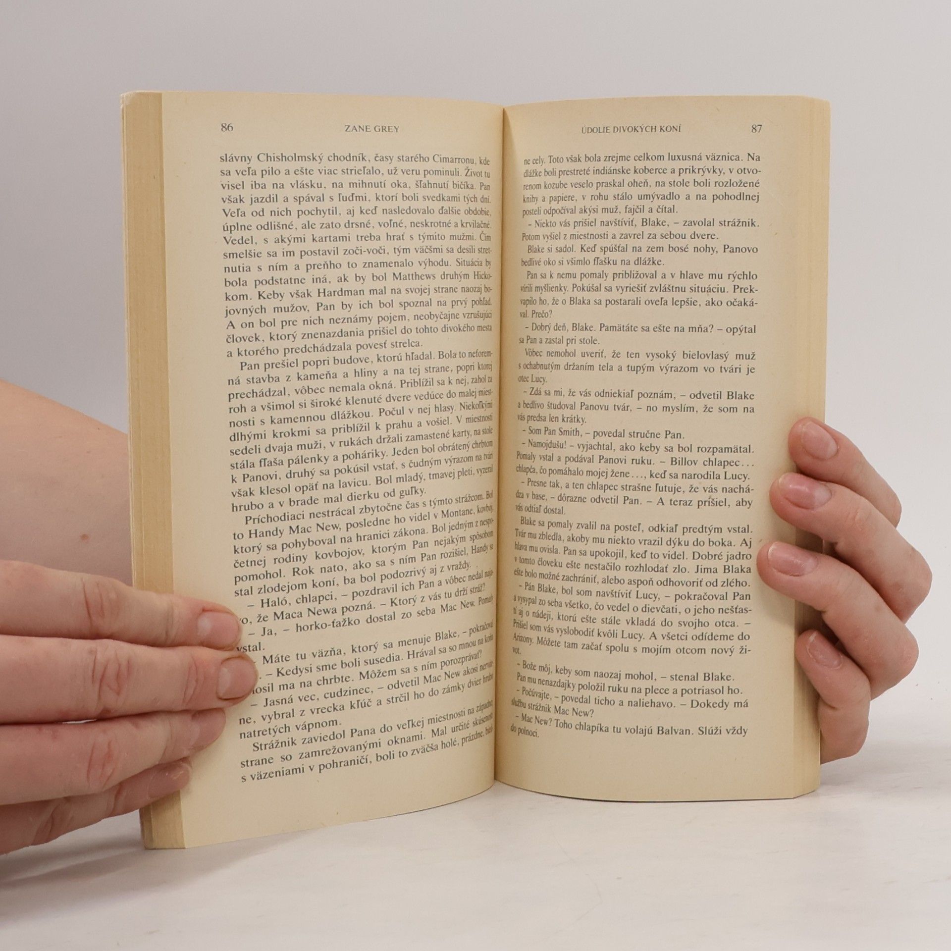 Zane Grey Údolie divokých koní
