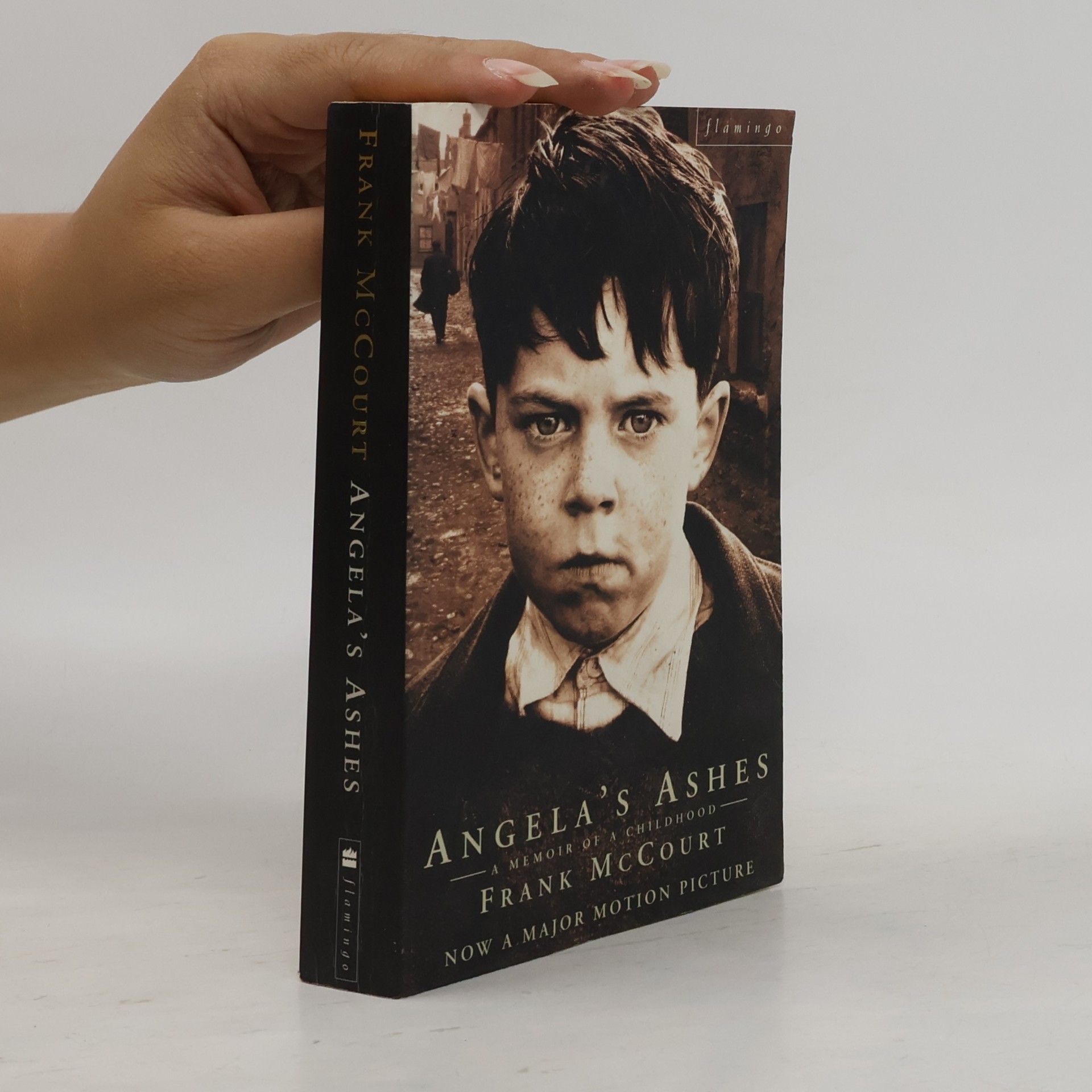 Frank McCourt Angela's Ashes