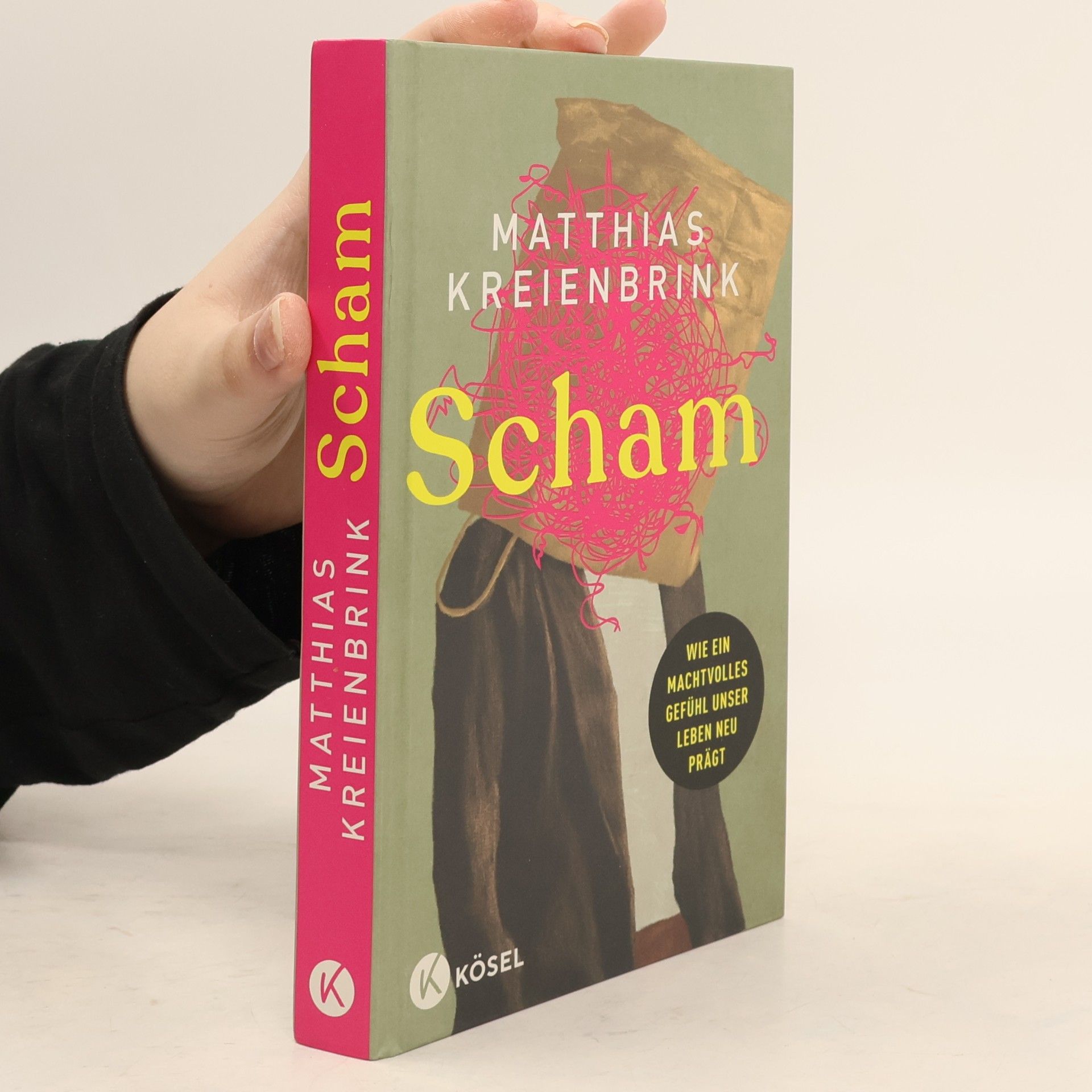 Matthias Kreienbrink Scham