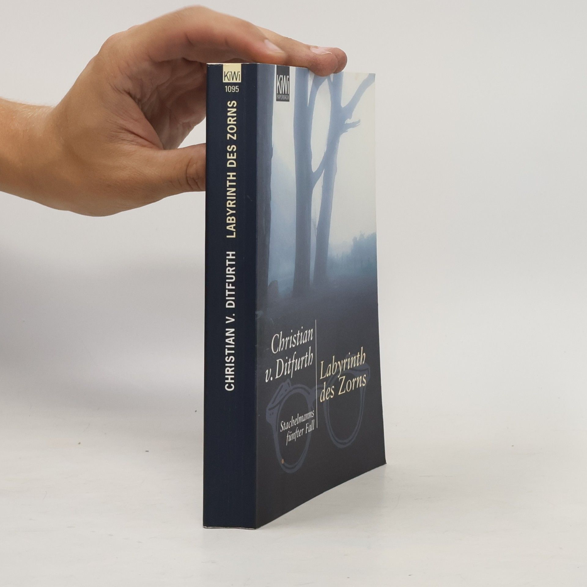 Christian v. Ditfurth Labyrinth des Zorns