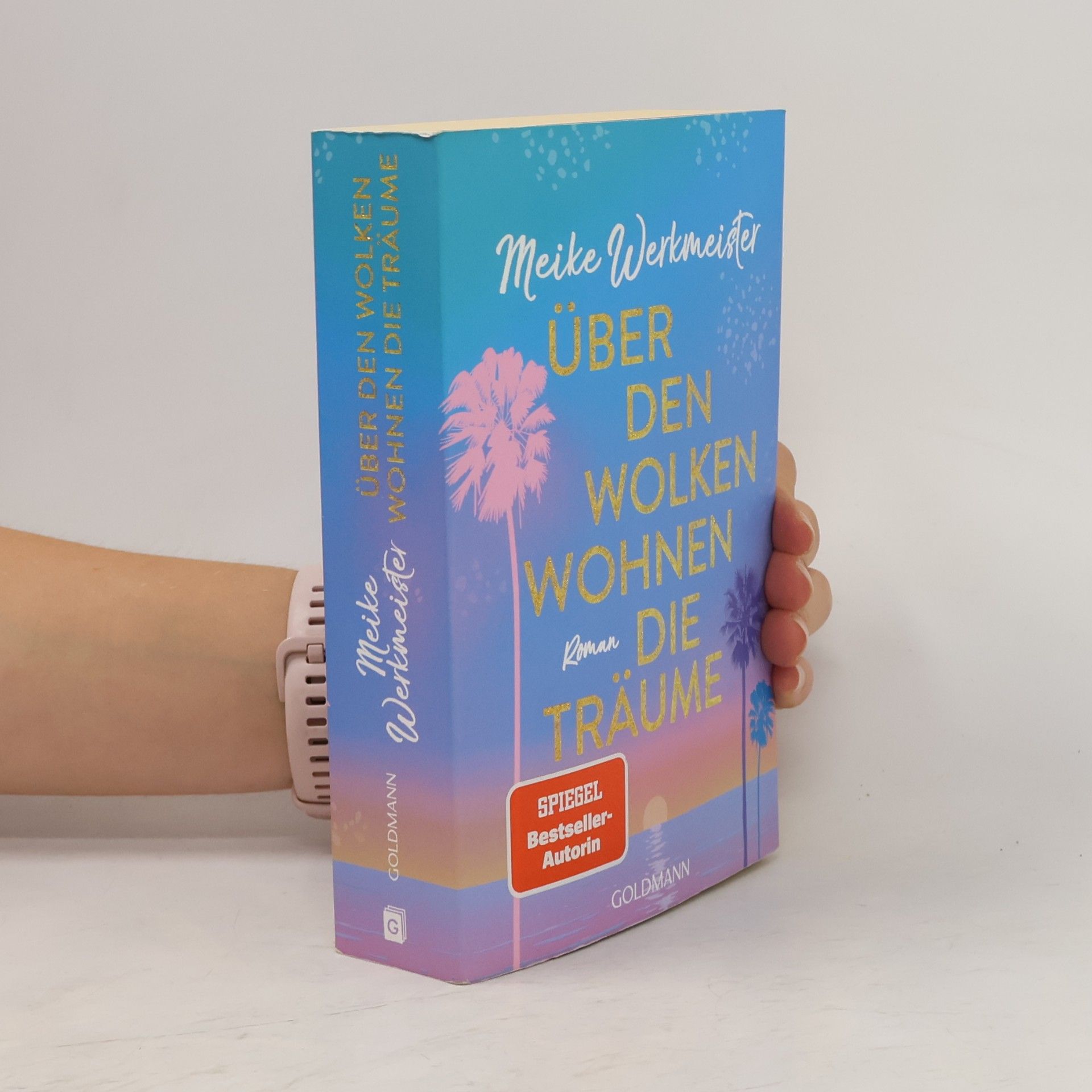 Meike Werkmeister Über den Wolken wohnen die Träume