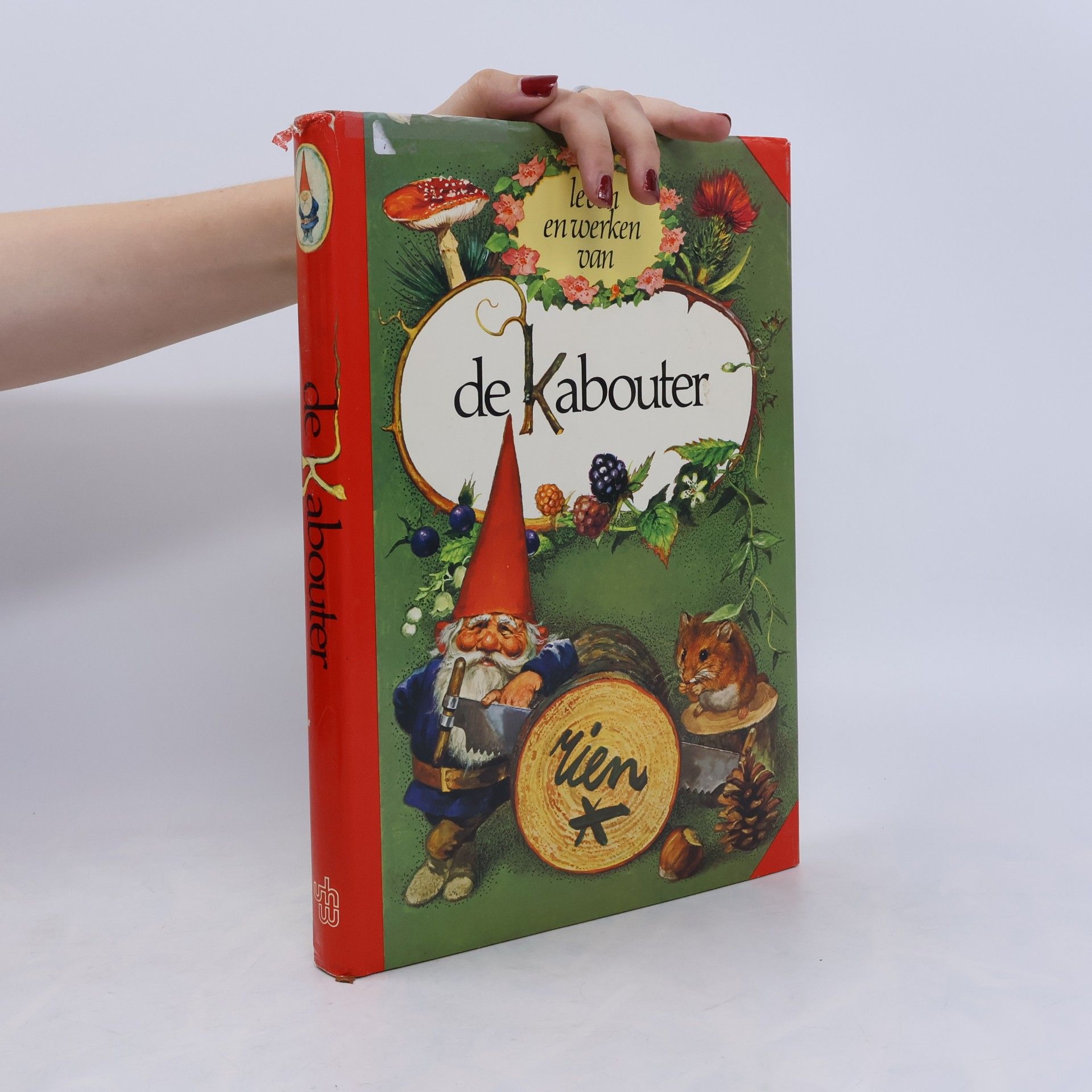 Wil Huygen De Kabouter