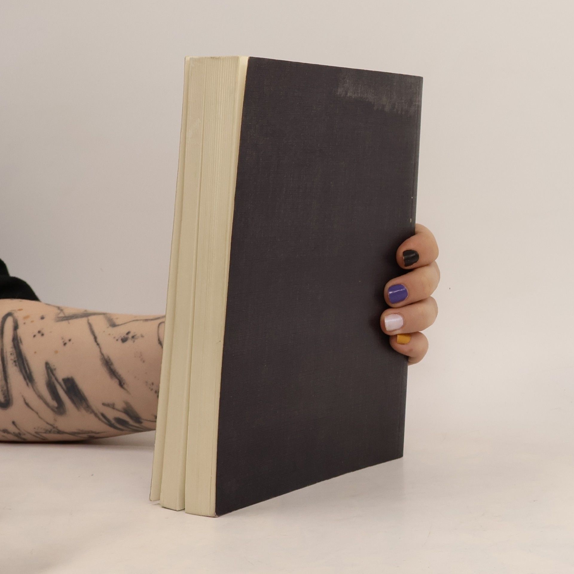 Armin Bammer Juristische Schriftenreihe - 53: Bundestheater und Verfassung