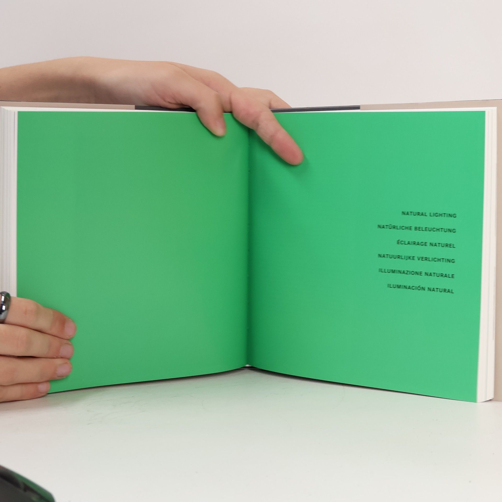 Simone Schleifer Ecological Inspirations