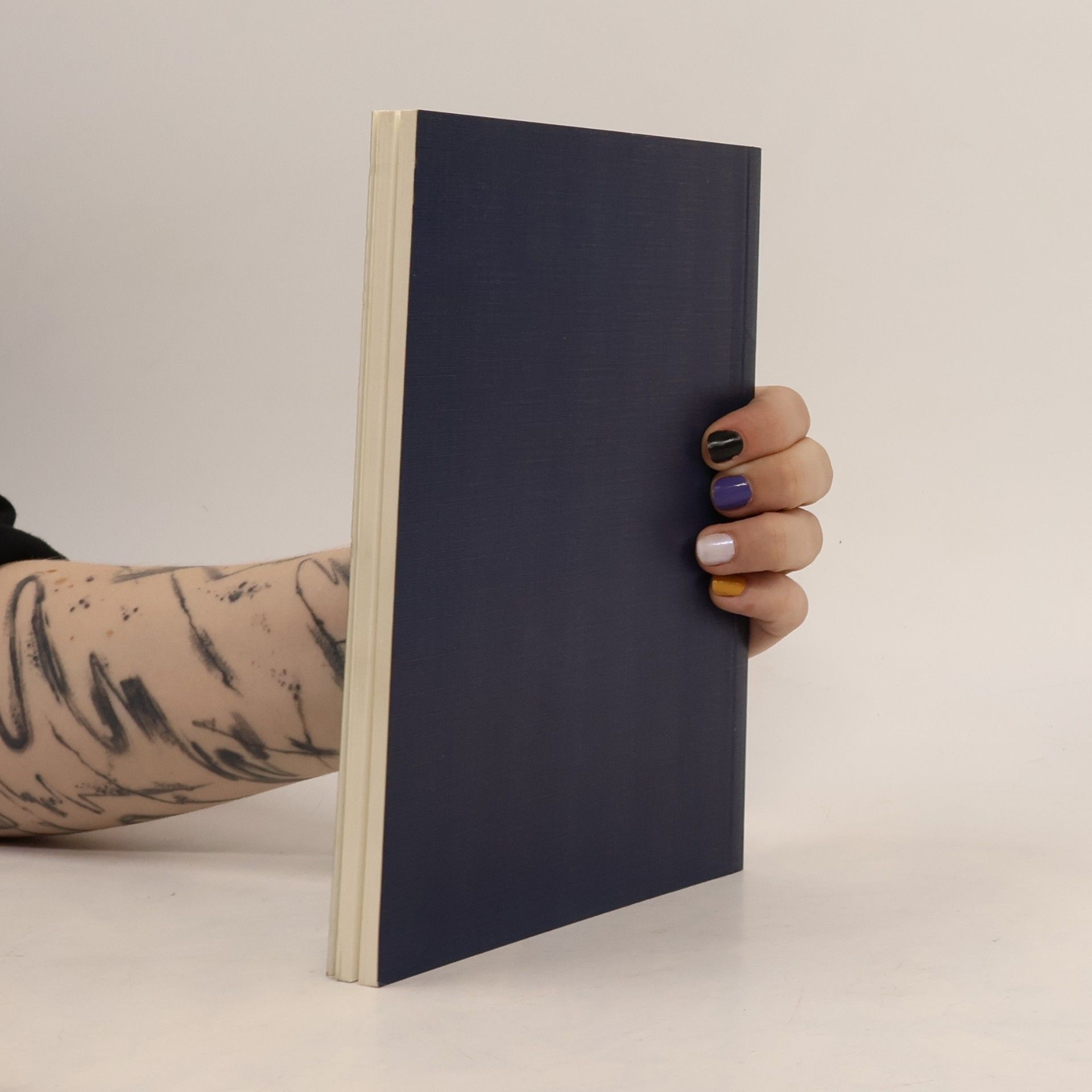 DACH Schriftenreihe - 8: Die Haftung des Rechtsanwalts