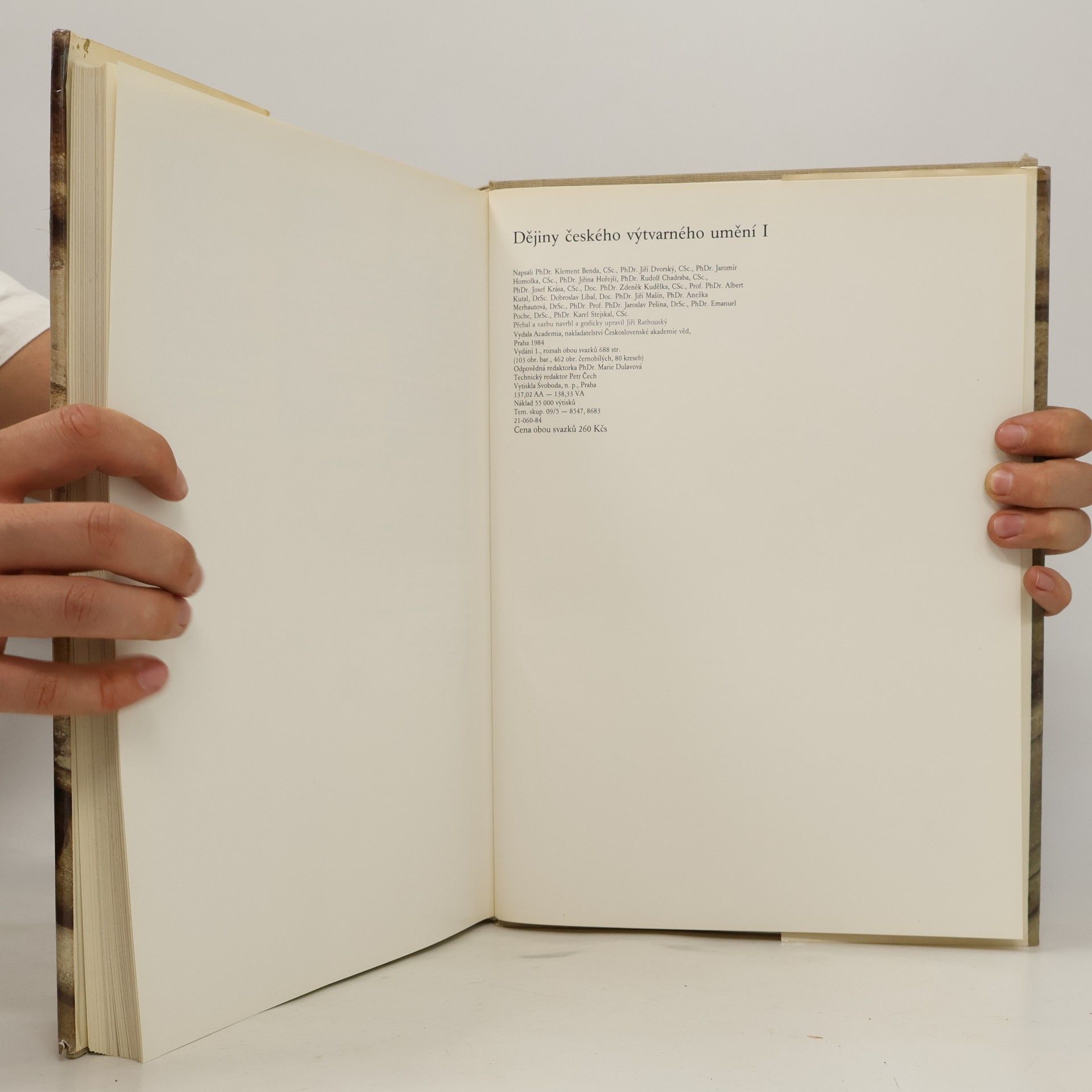 Various authors Dějiny českého výtvarného umění I/2