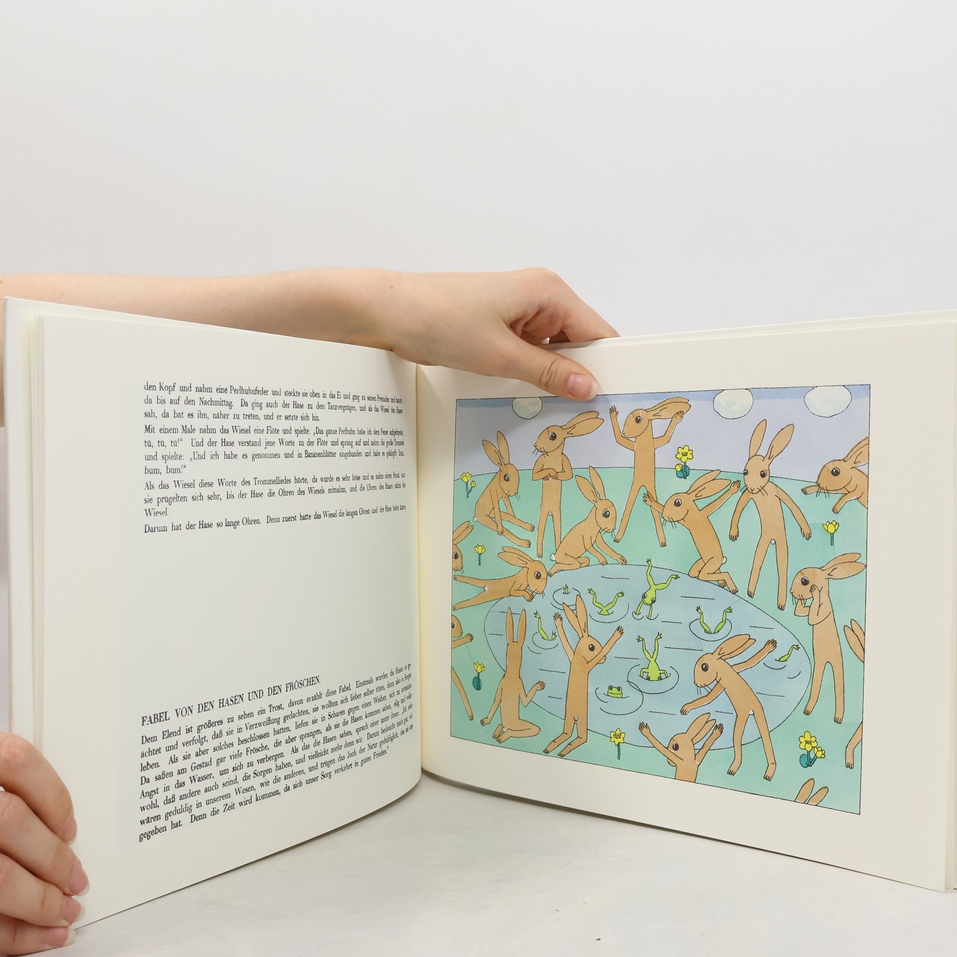 Tom Seidmann Freud Buch der Hasengeschichten