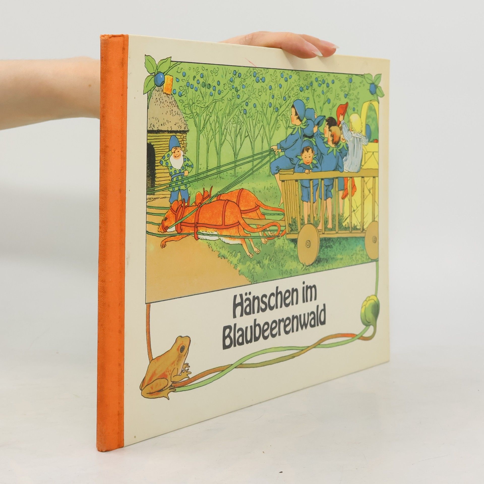 Kolektiv autorů Hänschen im Blaubeerenwald