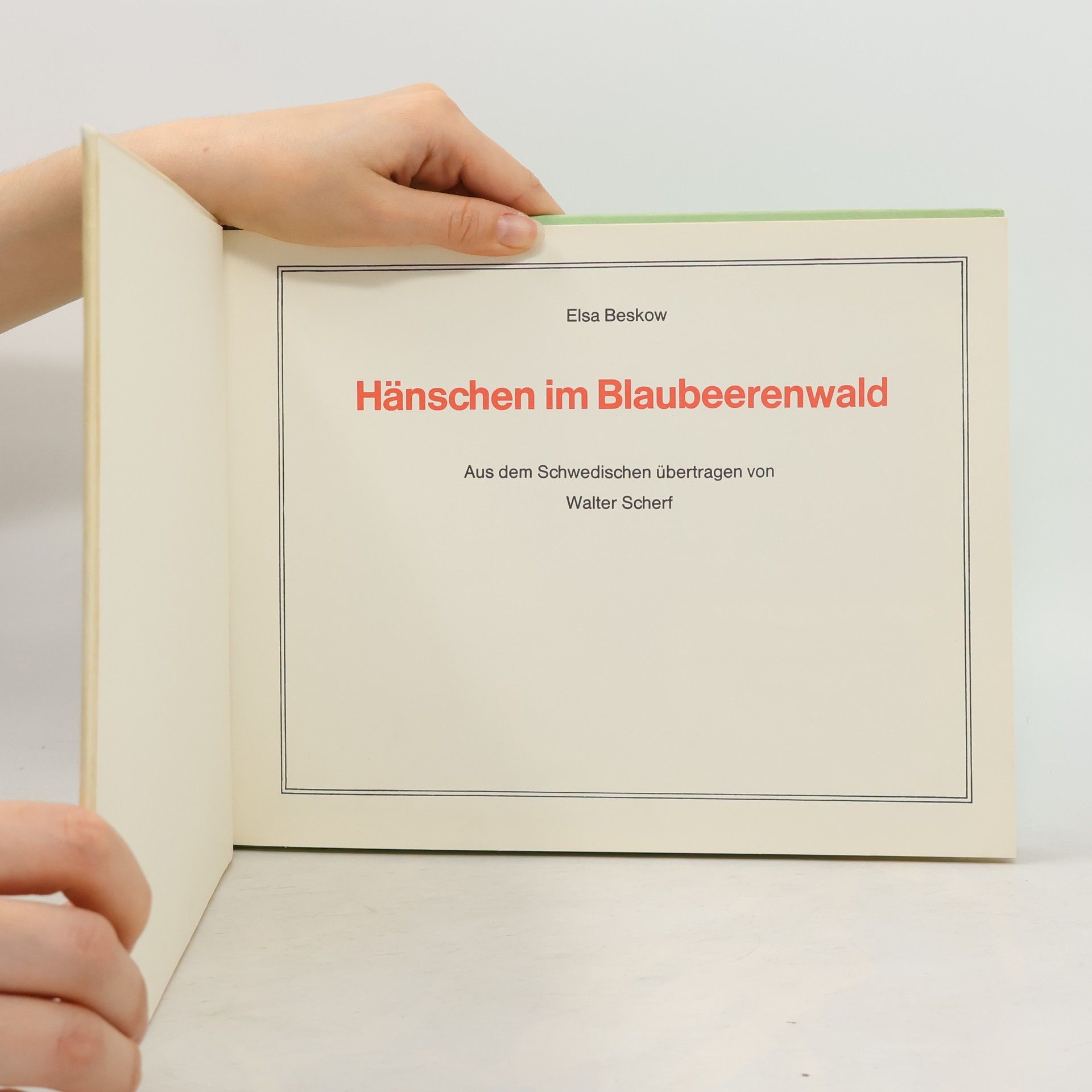 Autorenkollektiv Hänschen im Blaubeerenwald