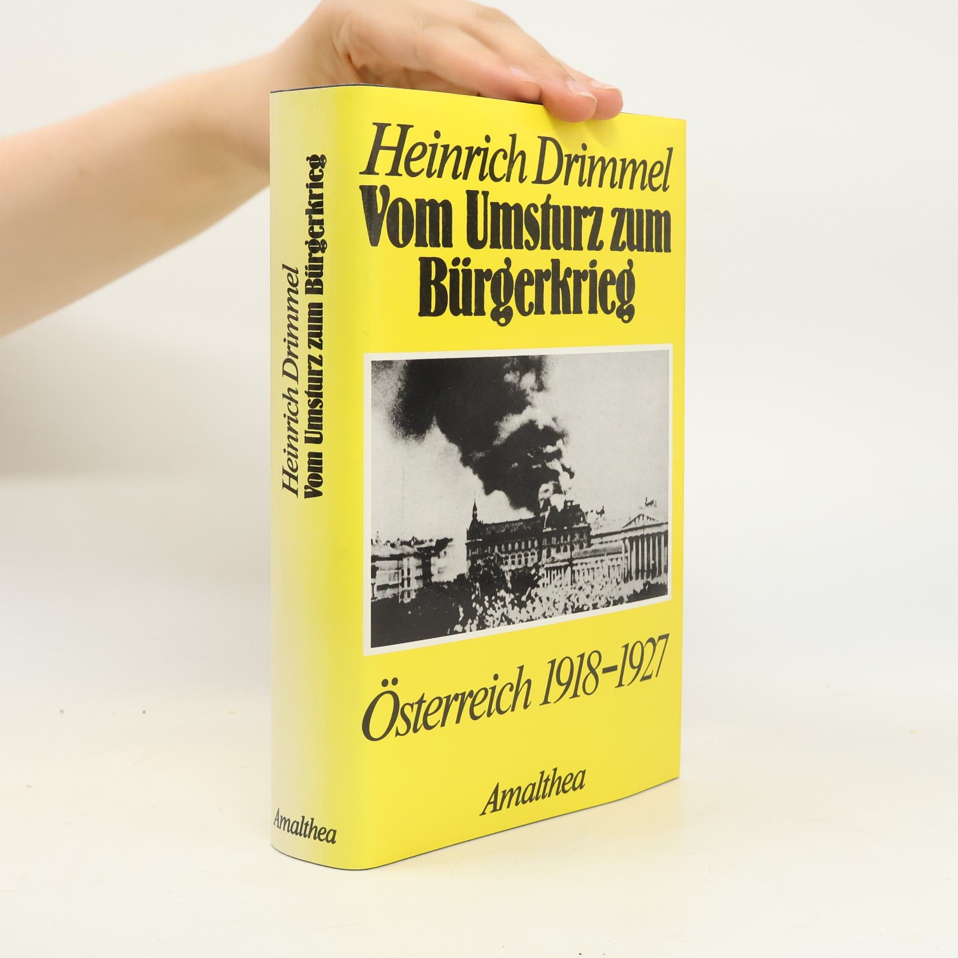 Heinrich Drimmel Vom Umsturz zum Bürgerkrieg