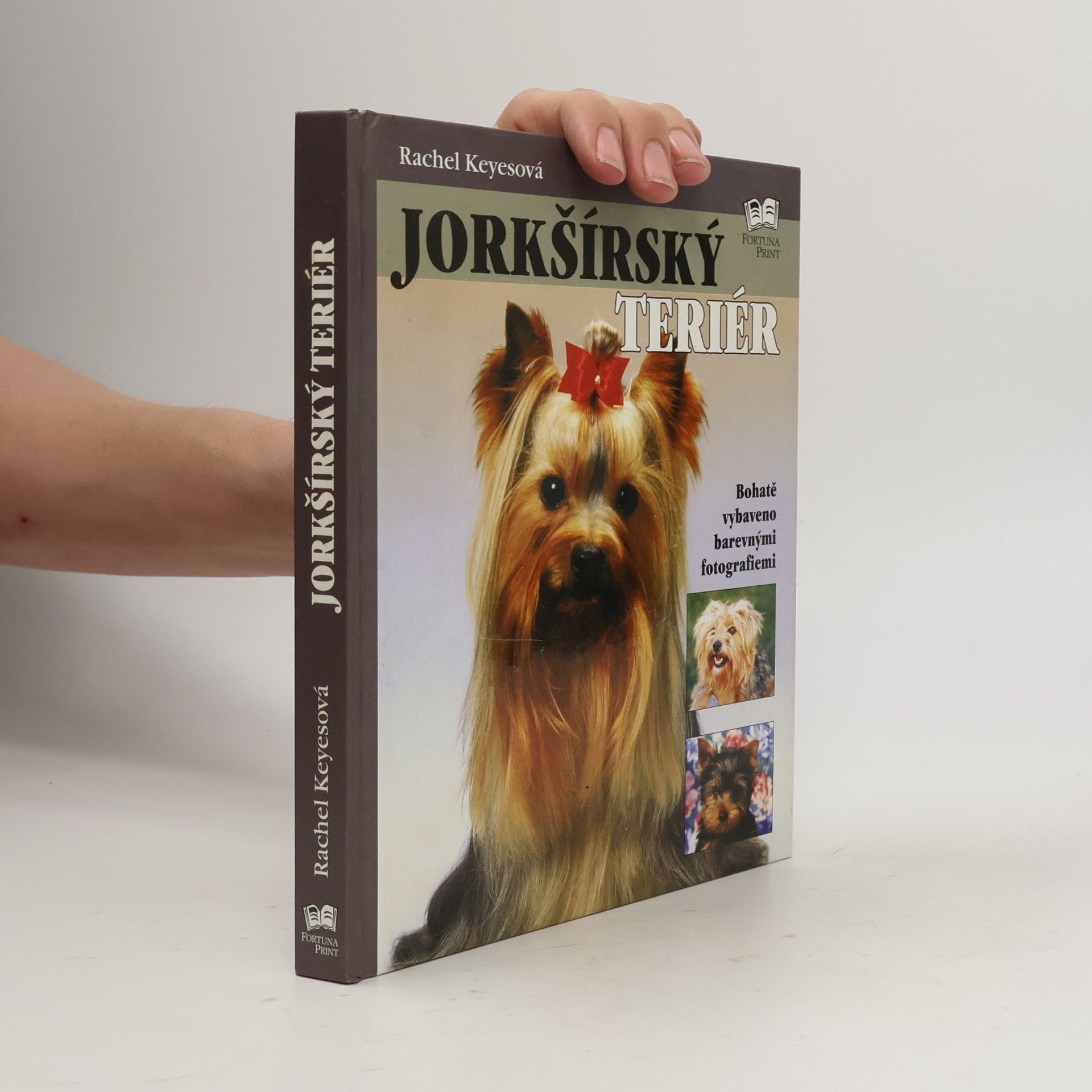 Rachel Keyes Jorkšírský teriér