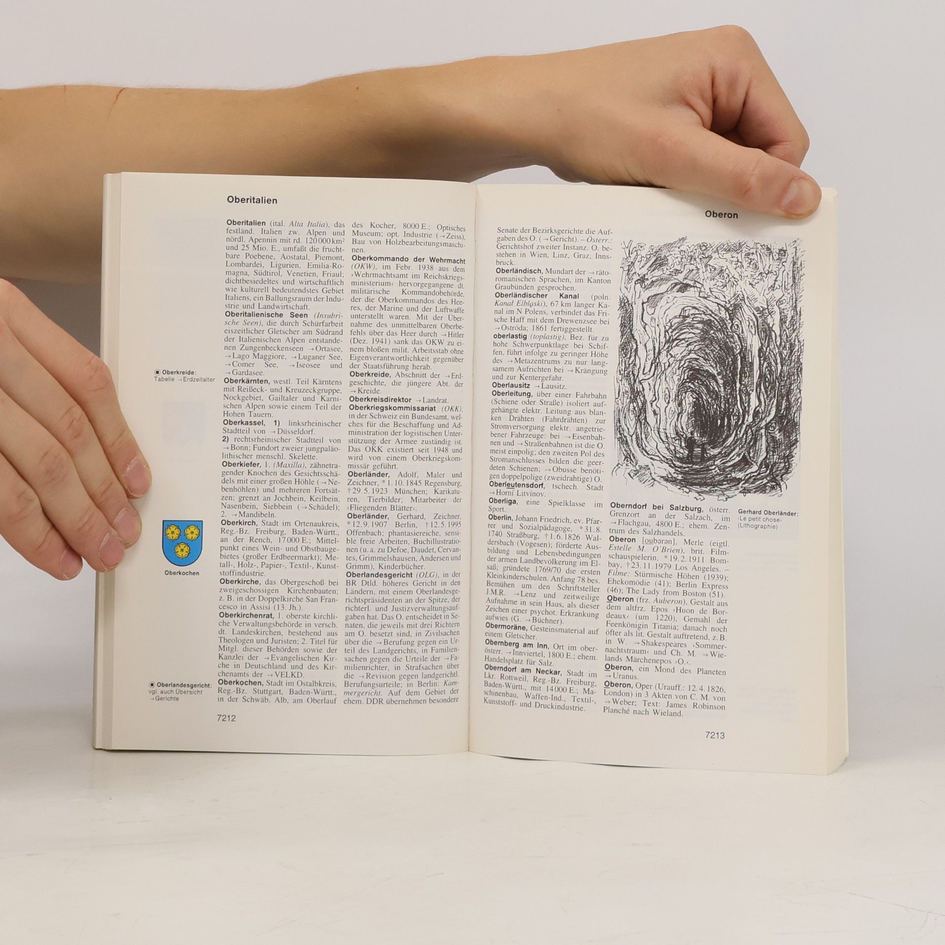 Autorenkollektiv Goldmann Lexikon 16. Navi-Pakt