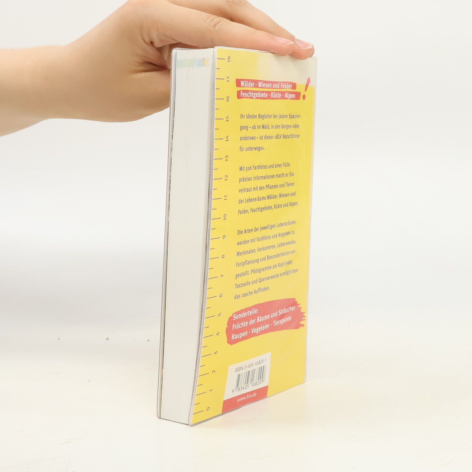 Autorenkollektiv Der neue BLV-Naturführer für unterwegs