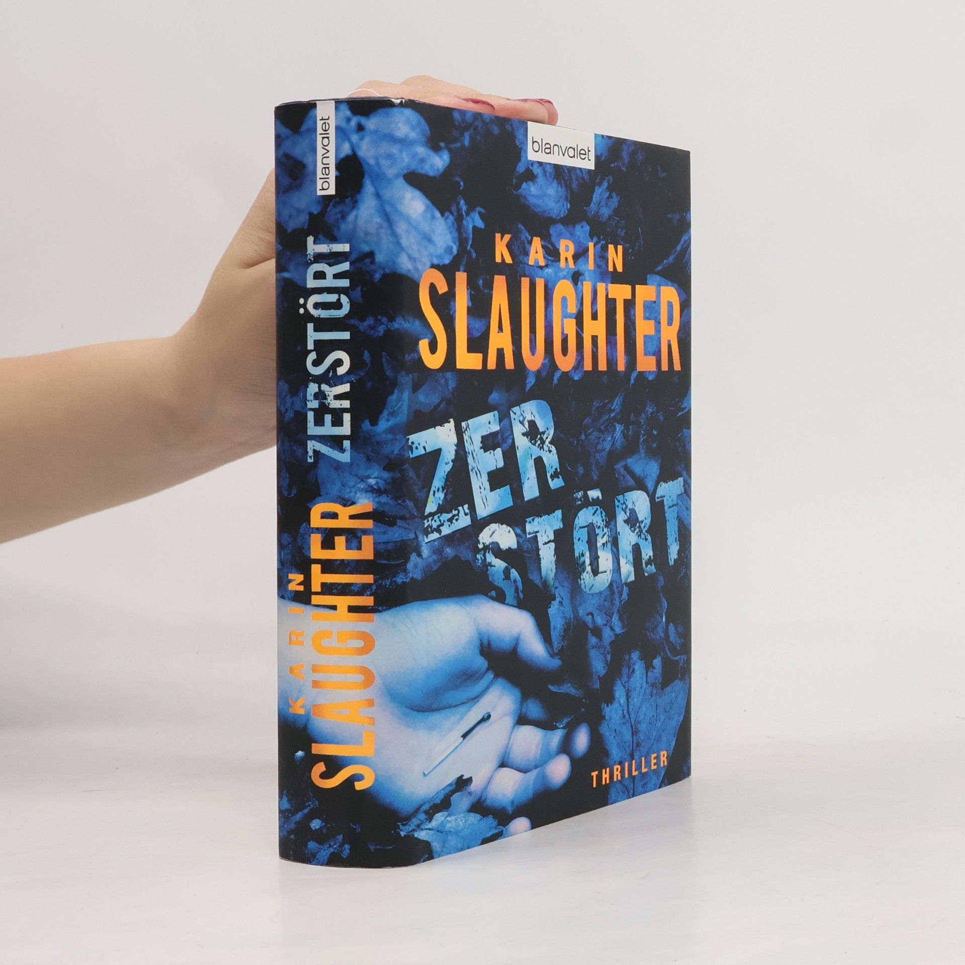 Karin Slaughter Zerstört