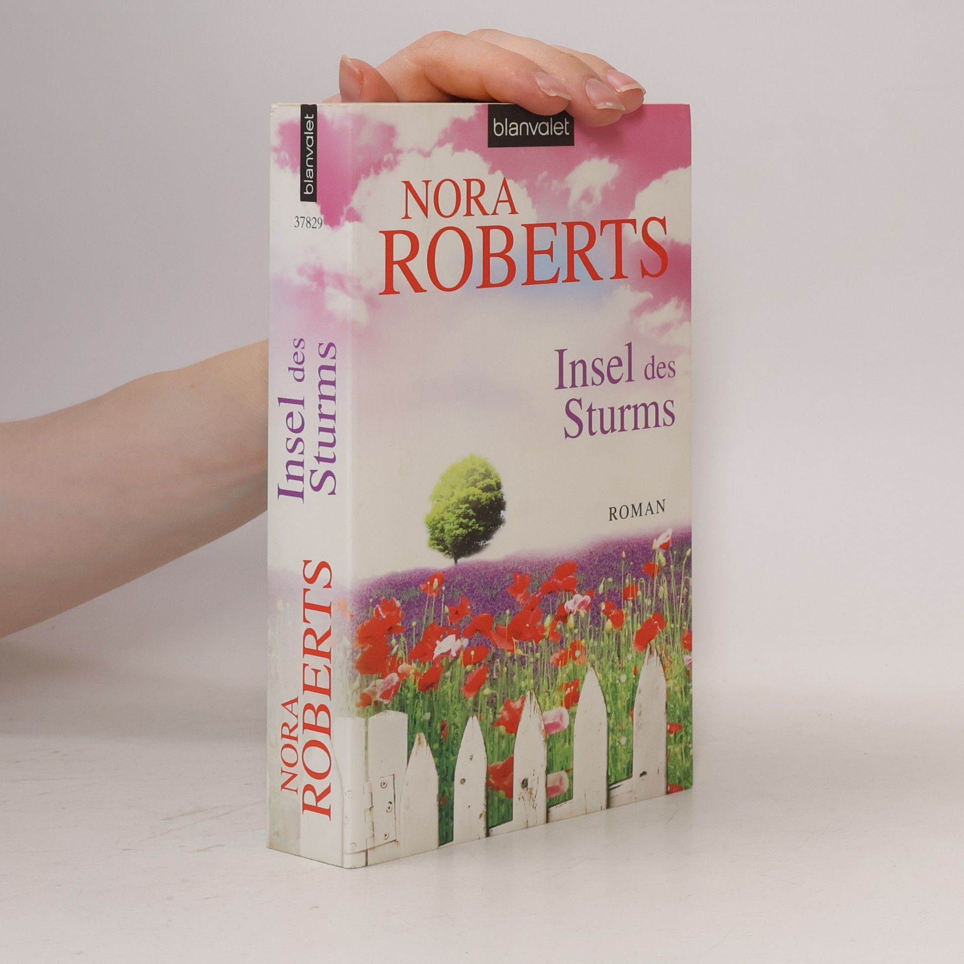 Nora Roberts Insel des Sturms