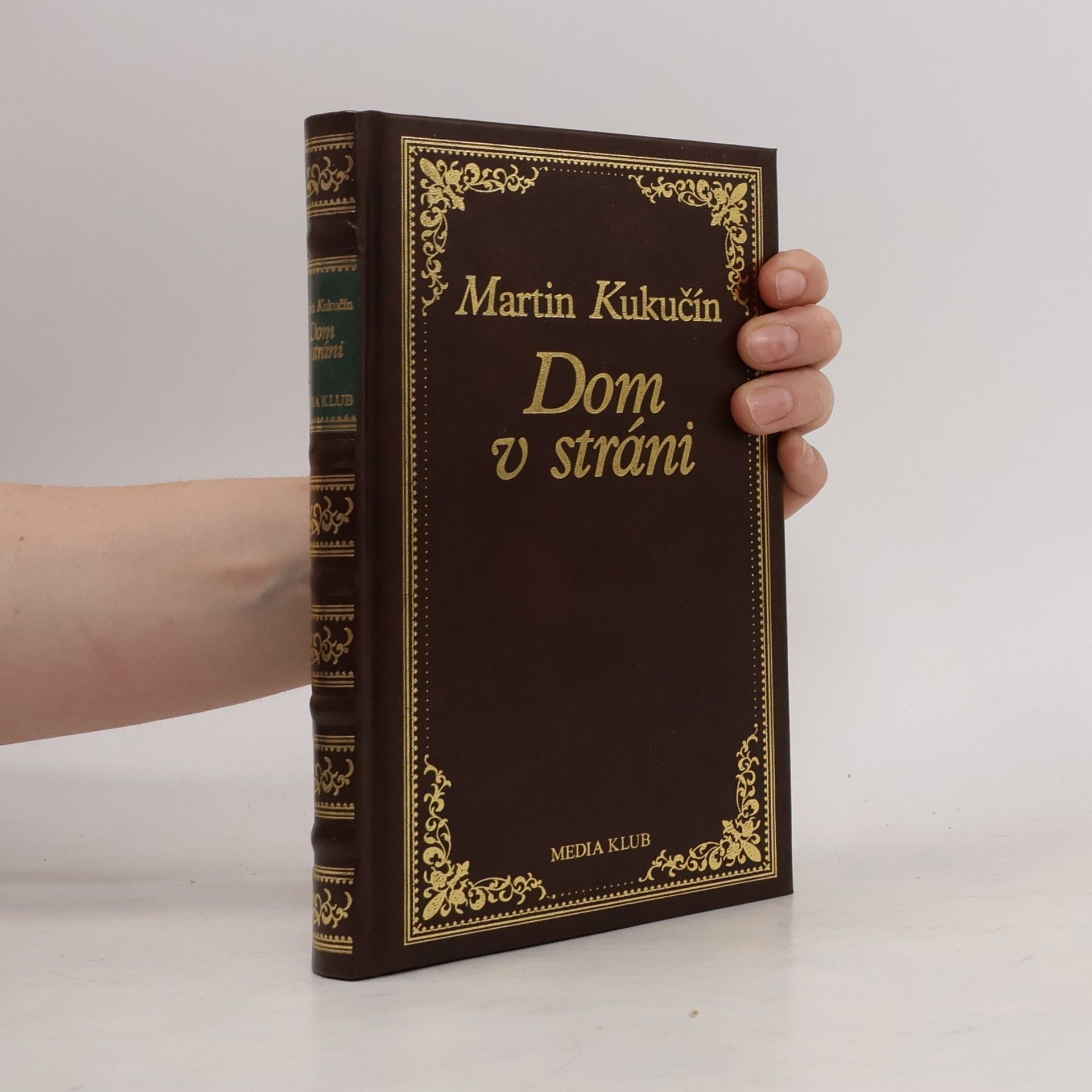 Martin Kukučín Dom v stráni